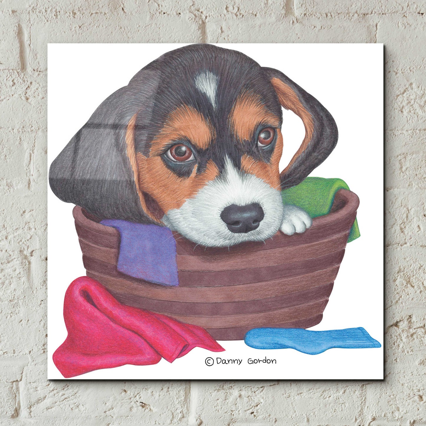 Epic Art 'Tri Color Beagle in Basket' by Danny Gordon Art, Acrylic Glass Wall Art,12x12