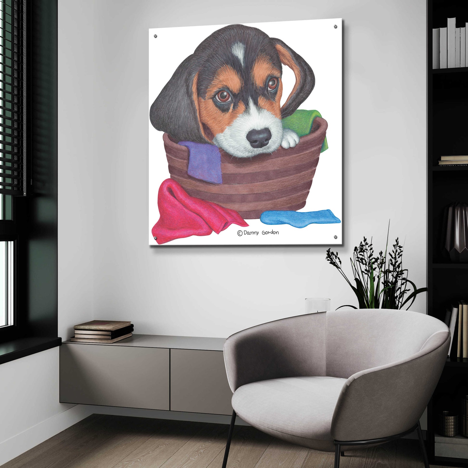 Epic Art 'Tri Color Beagle in Basket' by Danny Gordon Art, Acrylic Glass Wall Art,36x36