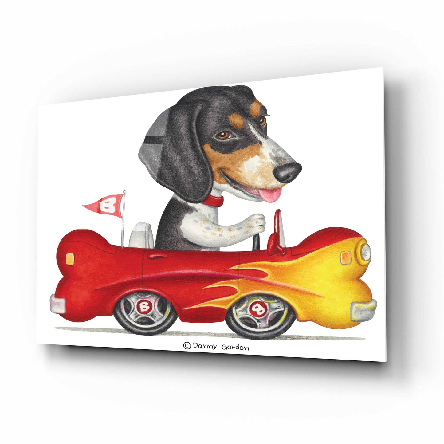 Epic Art 'Tri Color Beagle in Bone Car' by Danny Gordon Art, Acrylic Glass Wall Art,16x12