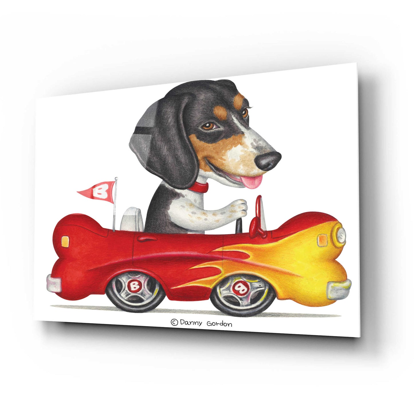 Epic Art 'Tri Color Beagle in Bone Car' by Danny Gordon Art, Acrylic Glass Wall Art,24x16