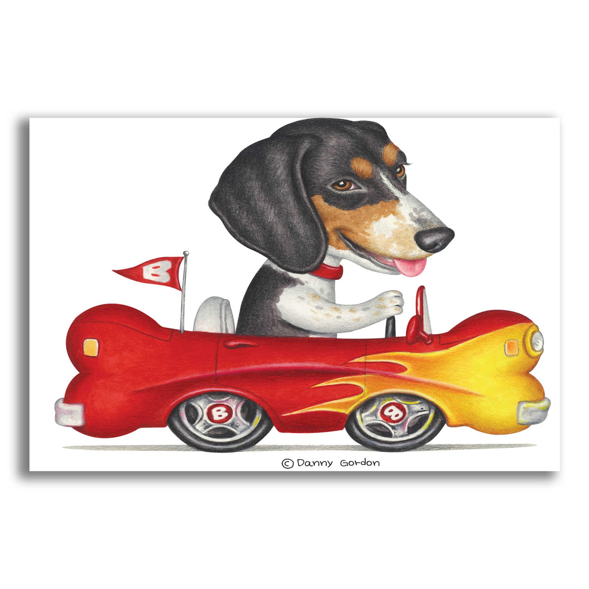 Epic Art 'Tri Color Beagle in Bone Car' by Danny Gordon Art, Acrylic Glass Wall Art,24x16