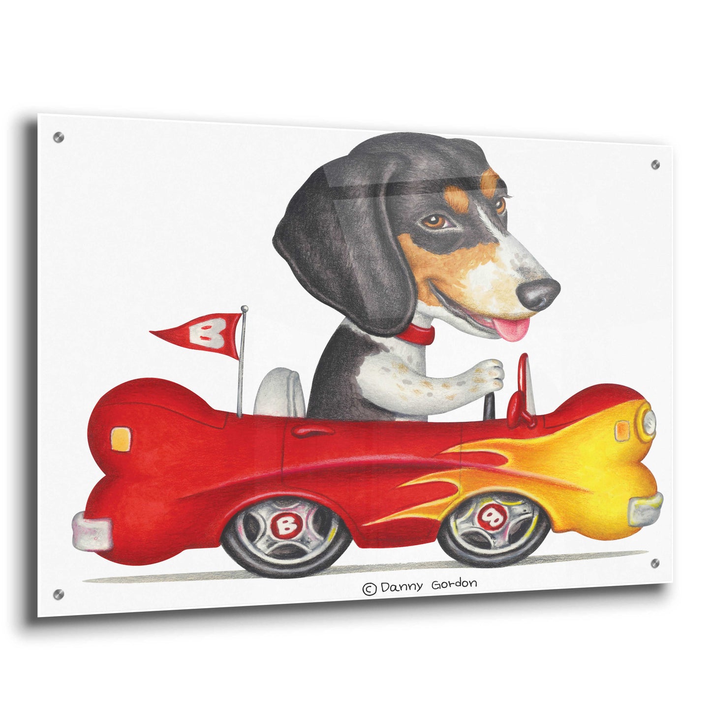 Epic Art 'Tri Color Beagle in Bone Car' by Danny Gordon Art, Acrylic Glass Wall Art,36x24