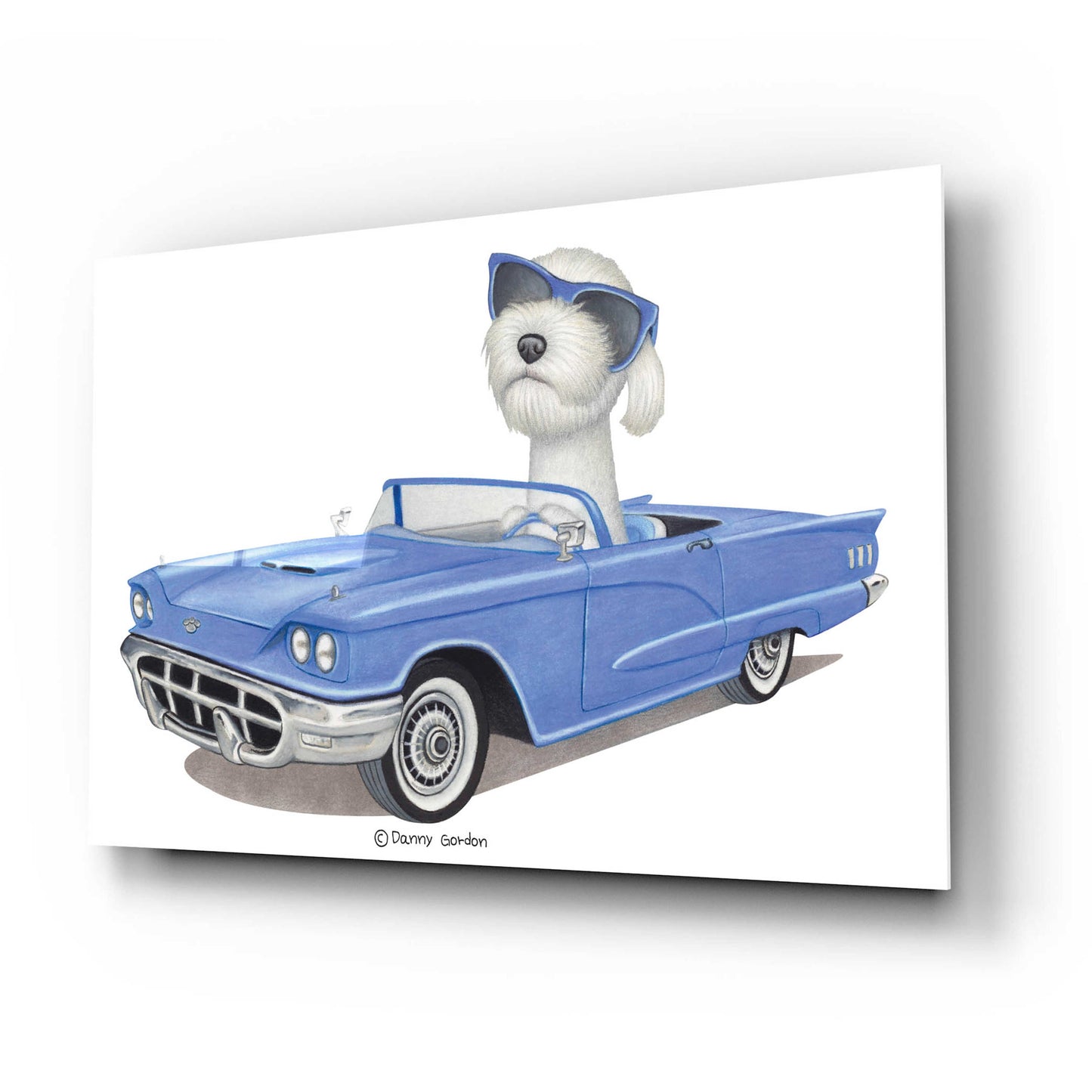 Epic Art 'White Labradoodle Blue Car' by Danny Gordon Art, Acrylic Glass Wall Art,24x16