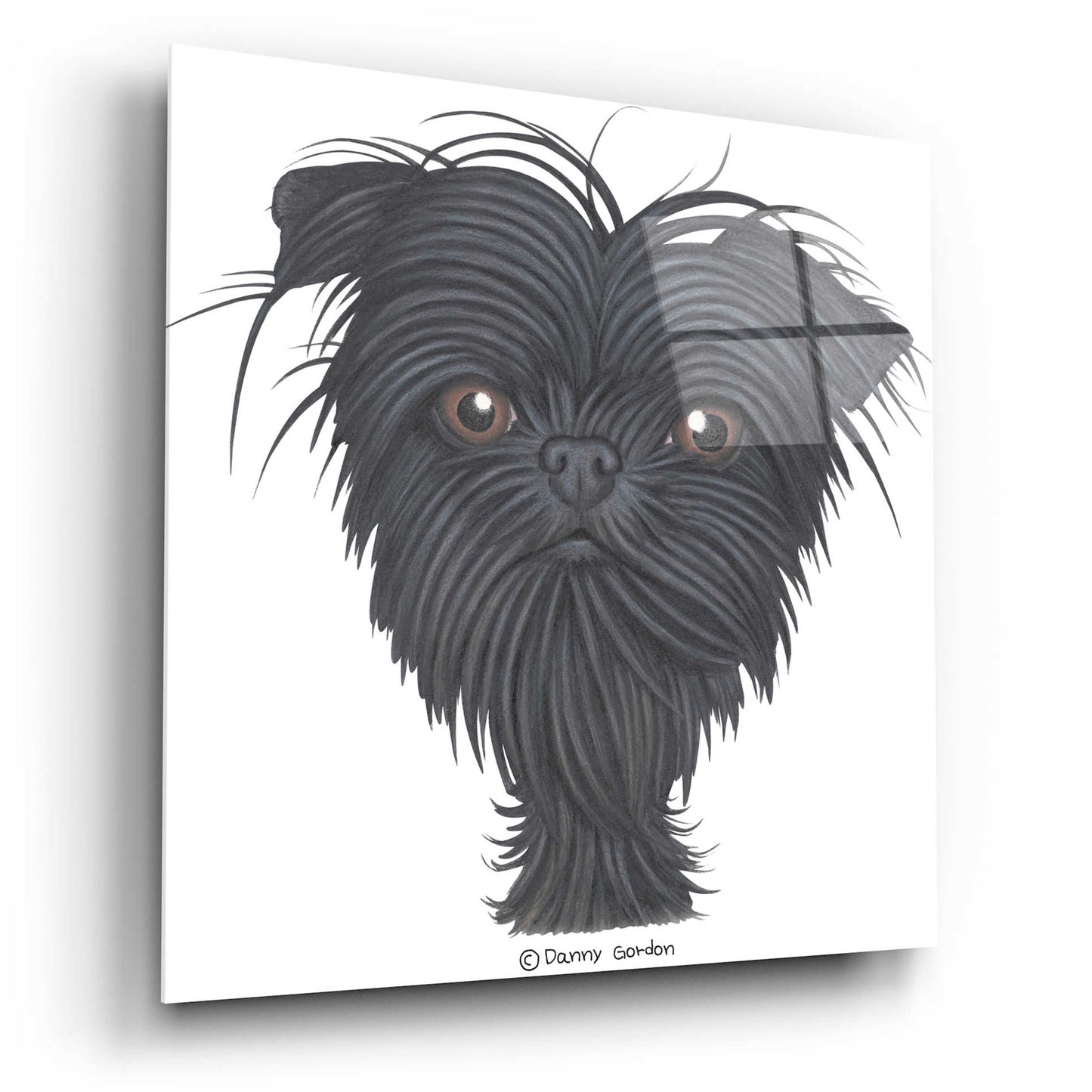 Epic Art 'Affenpinscher Bust' by Danny Gordon Art, Acrylic Glass Wall Art,12x12