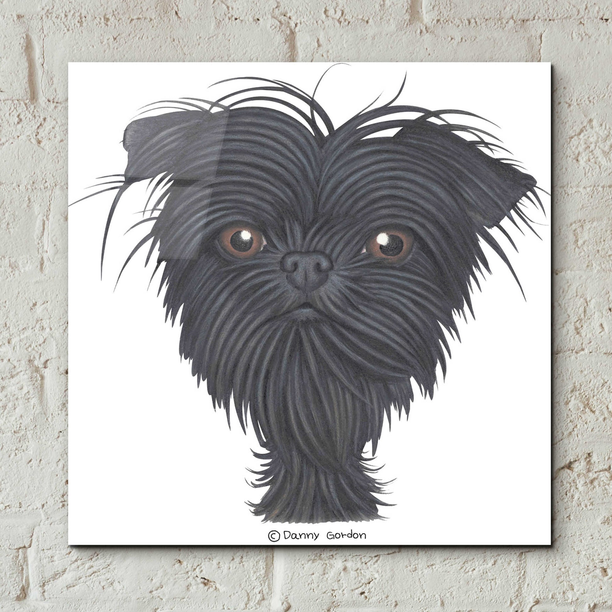 Epic Art 'Affenpinscher Bust' by Danny Gordon Art, Acrylic Glass Wall Art,12x12