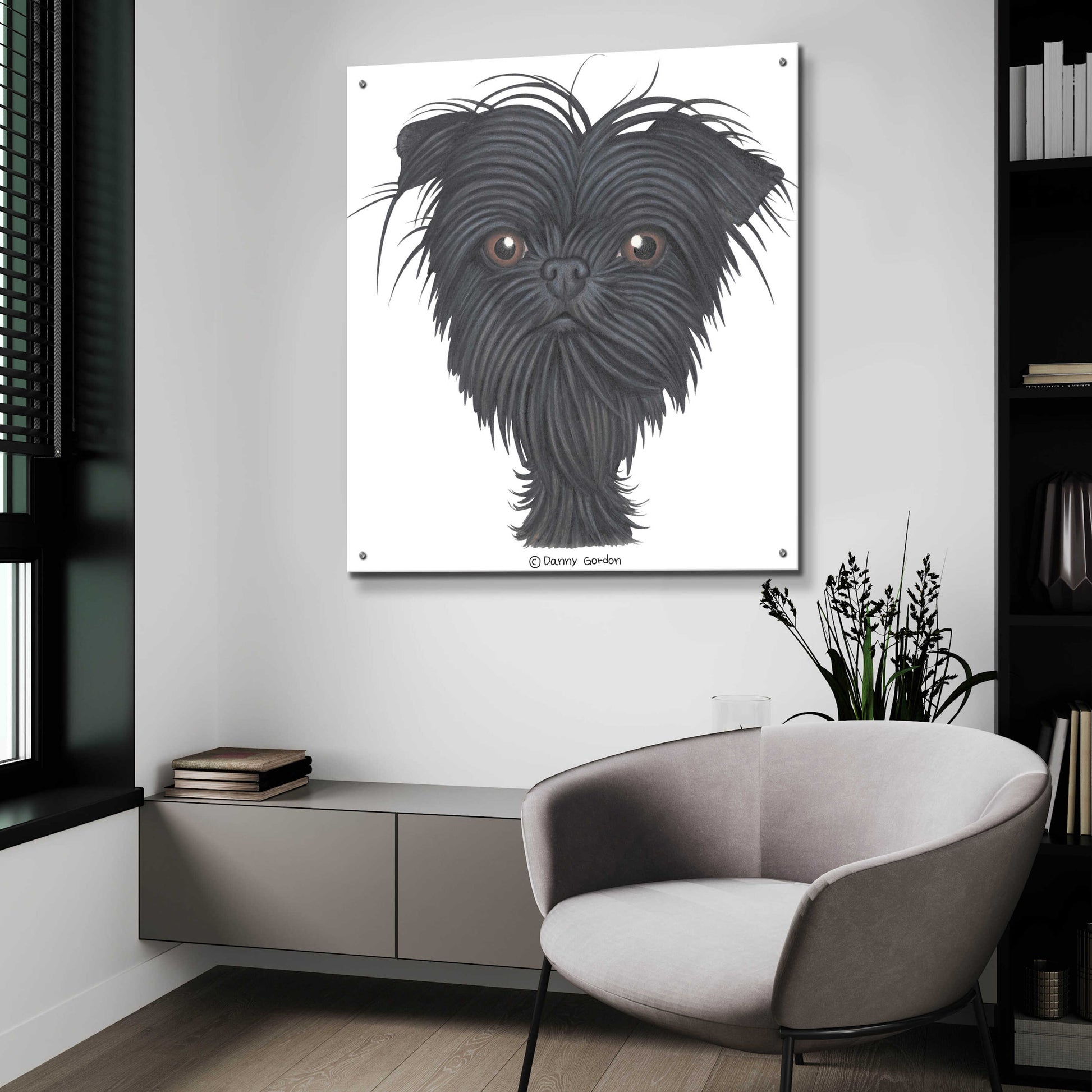 Epic Art 'Affenpinscher Bust' by Danny Gordon Art, Acrylic Glass Wall Art,36x36