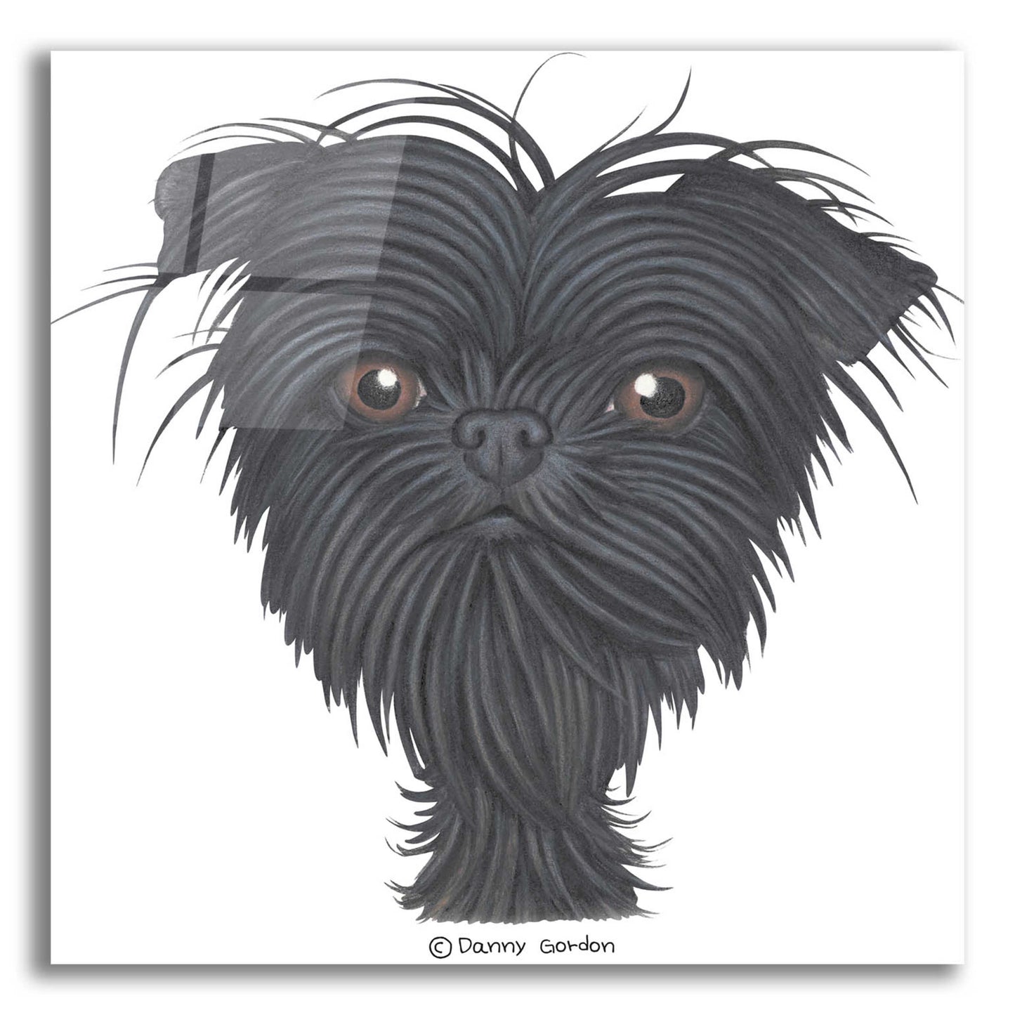 Epic Art 'Affenpinscher Bust' by Danny Gordon Art, Acrylic Glass Wall Art