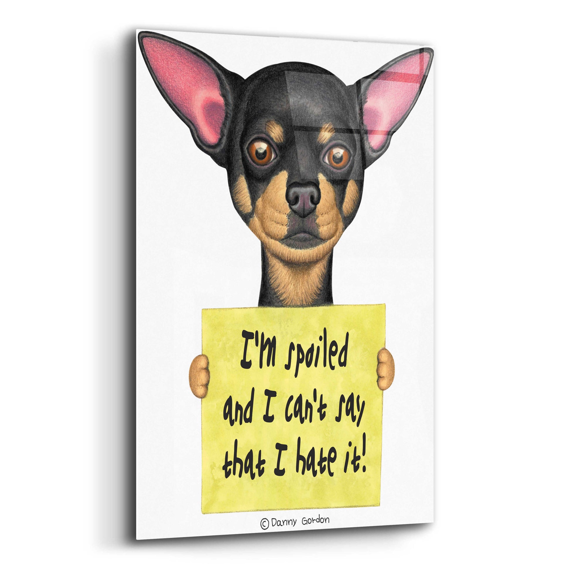 Epic Art 'Black Chihuahua Holding Sign' by Danny Gordon Art, Acrylic Glass Wall Art,12x16