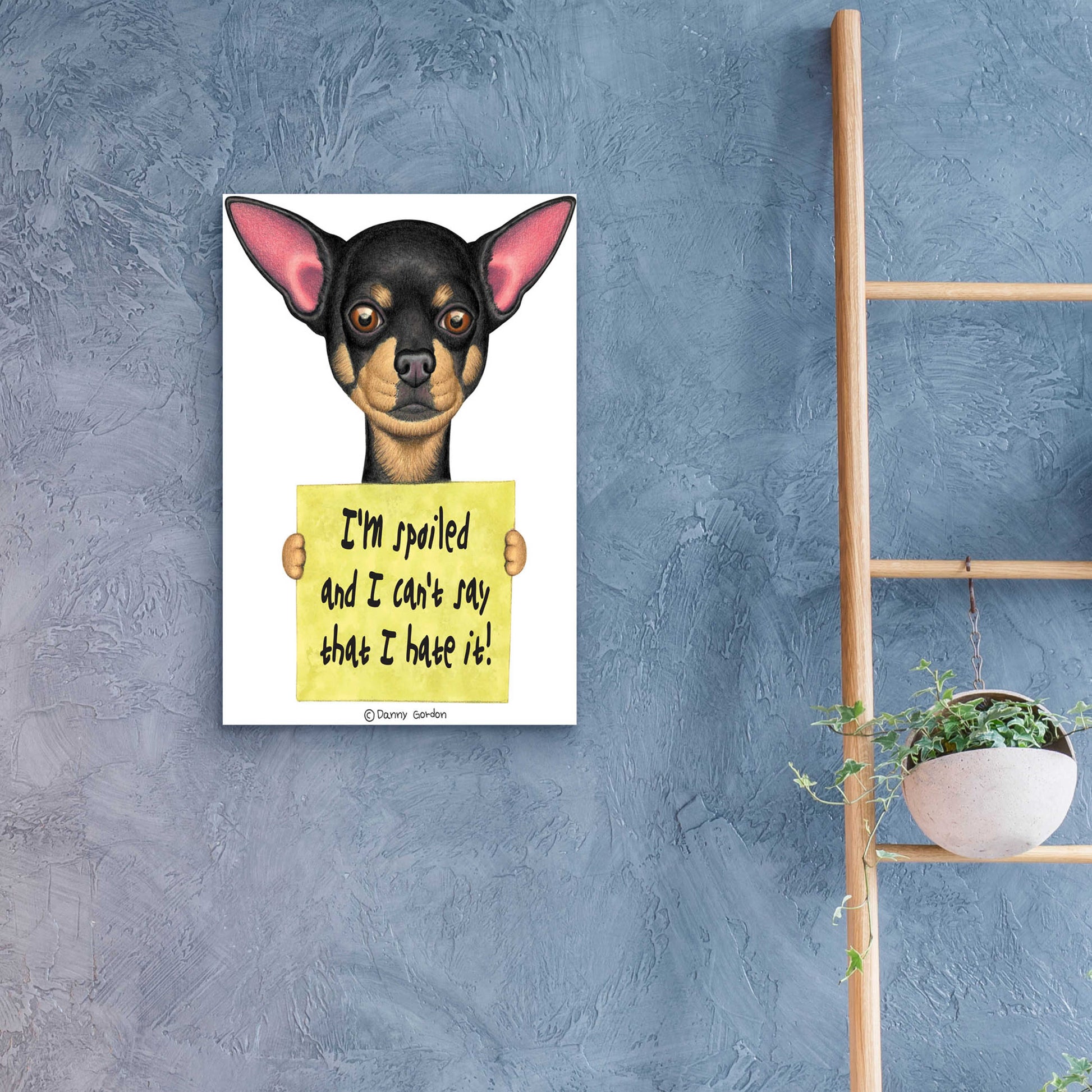 Epic Art 'Black Chihuahua Holding Sign' by Danny Gordon Art, Acrylic Glass Wall Art,16x24