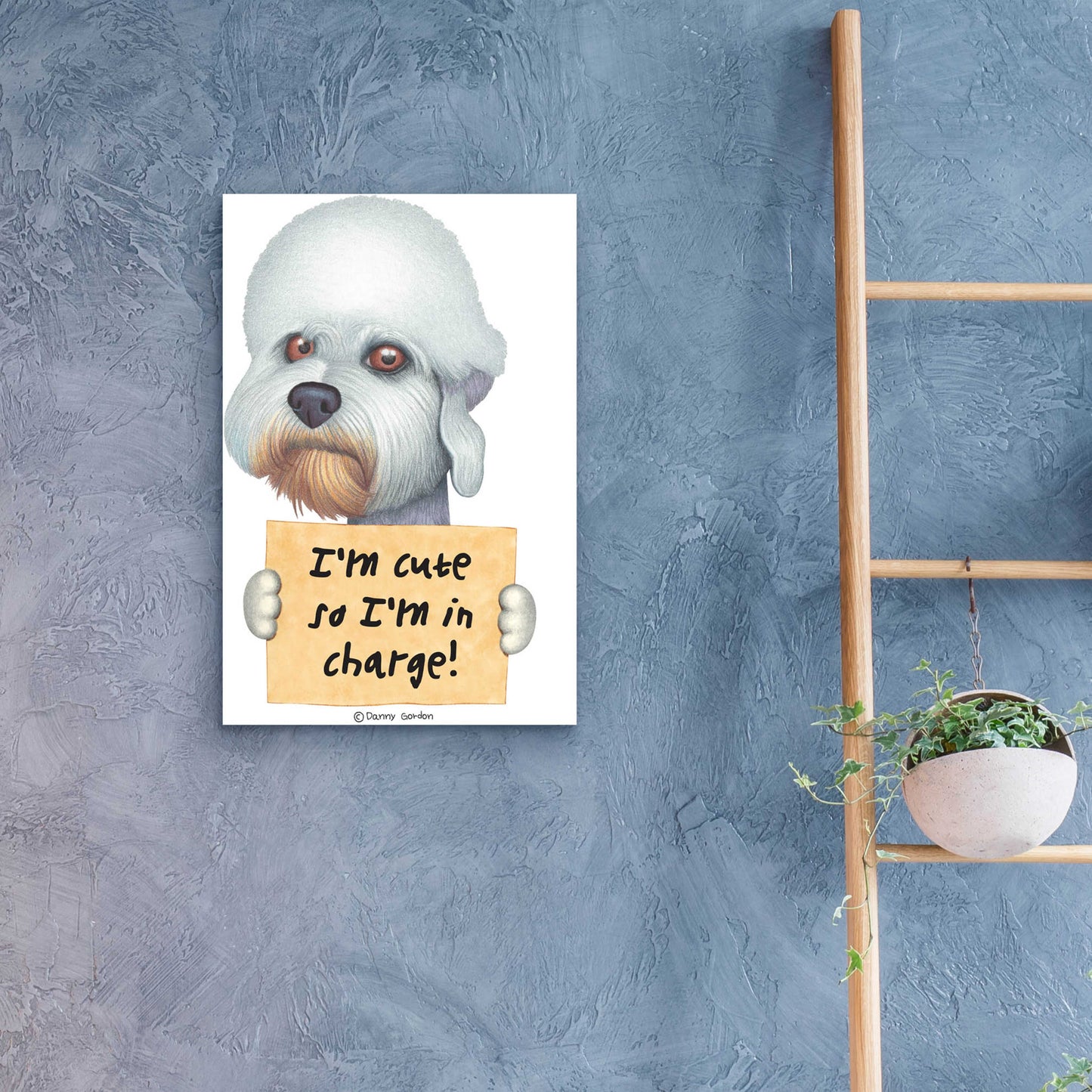 Epic Art 'Dandie Dinmont Terrier with Sign' by Danny Gordon Art, Acrylic Glass Wall Art,16x24