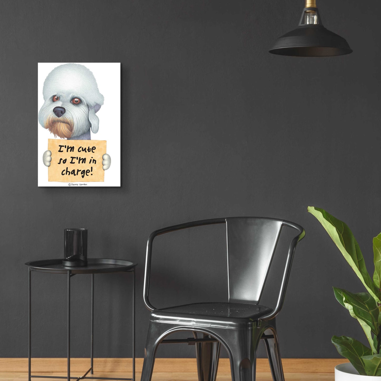 Epic Art 'Dandie Dinmont Terrier with Sign' by Danny Gordon Art, Acrylic Glass Wall Art,16x24