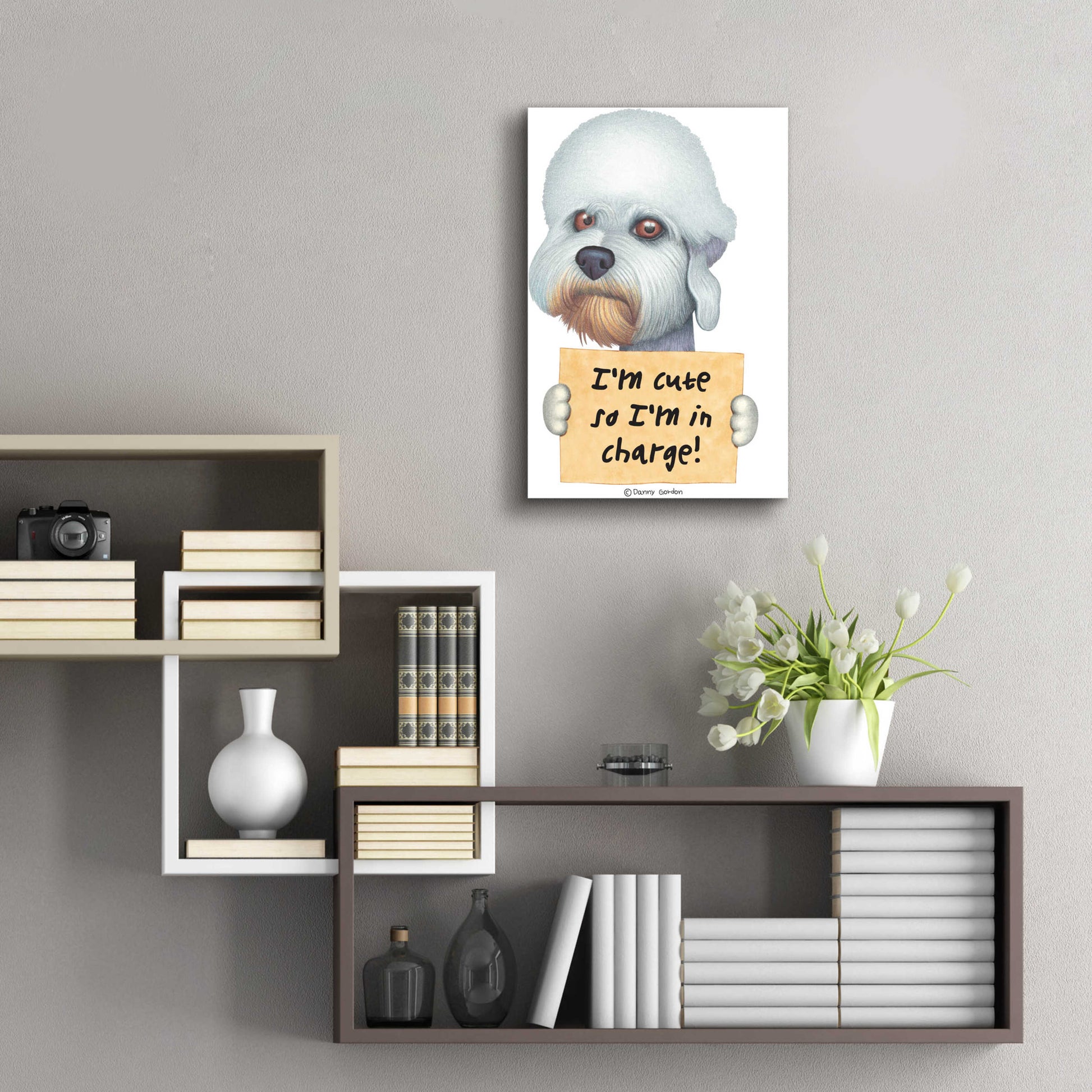 Epic Art 'Dandie Dinmont Terrier with Sign' by Danny Gordon Art, Acrylic Glass Wall Art,16x24