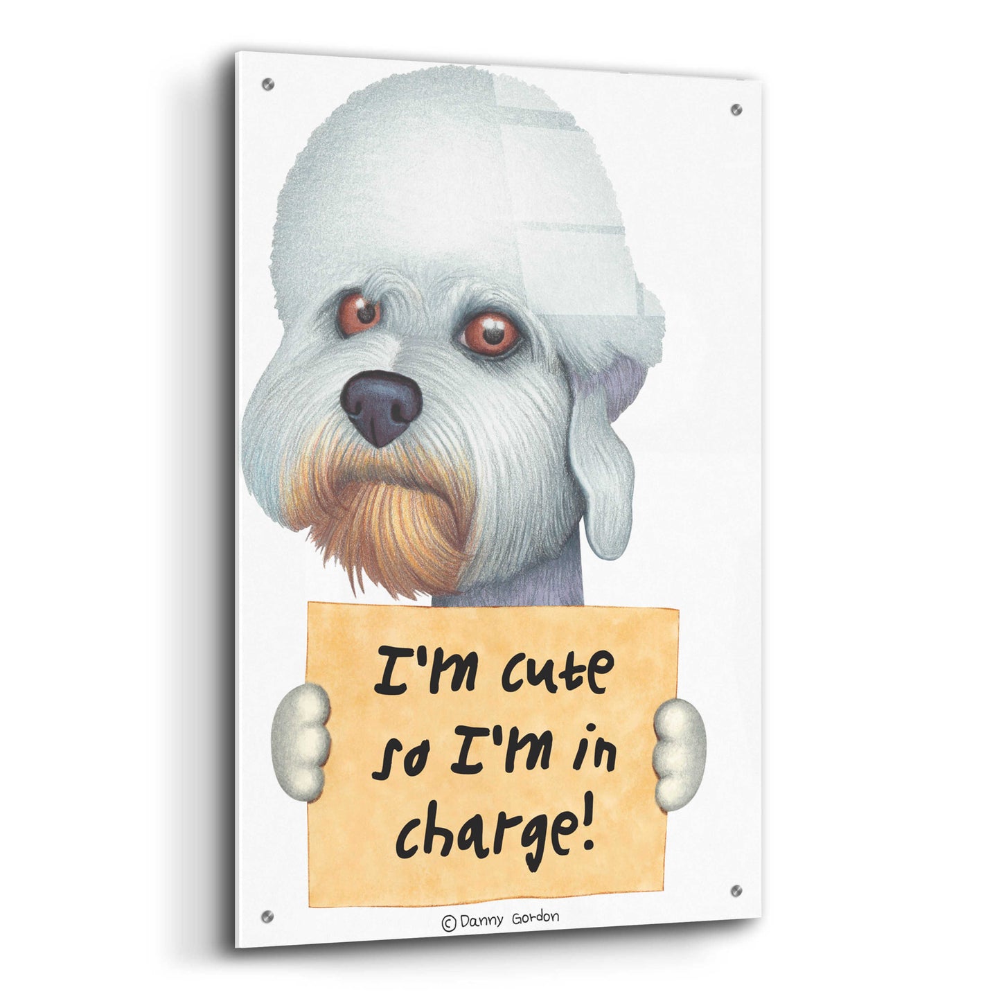 Epic Art 'Dandie Dinmont Terrier with Sign' by Danny Gordon Art, Acrylic Glass Wall Art,24x36