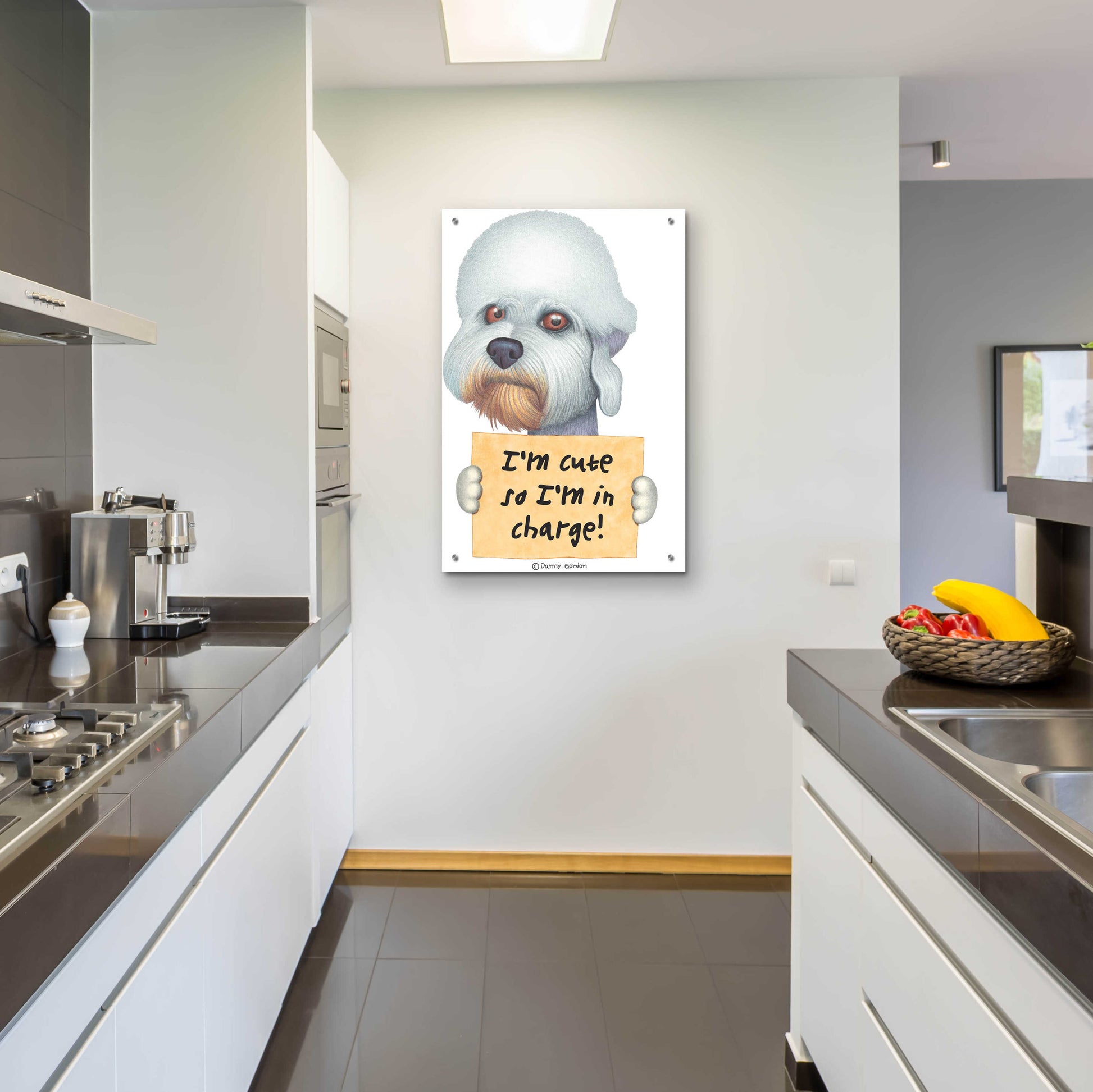 Epic Art 'Dandie Dinmont Terrier with Sign' by Danny Gordon Art, Acrylic Glass Wall Art,24x36