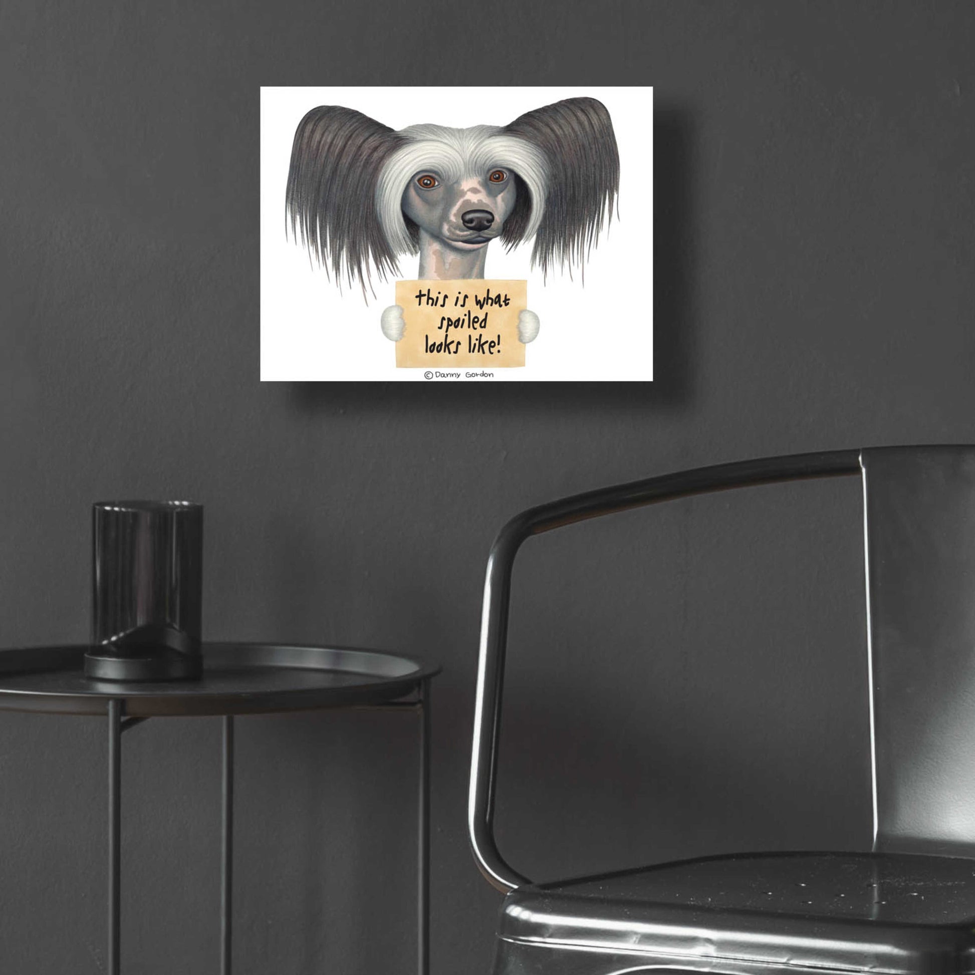 Epic Art 'Tri Color Chinese Crested with Sign' by Danny Gordon Art, Acrylic Glass Wall Art,16x12