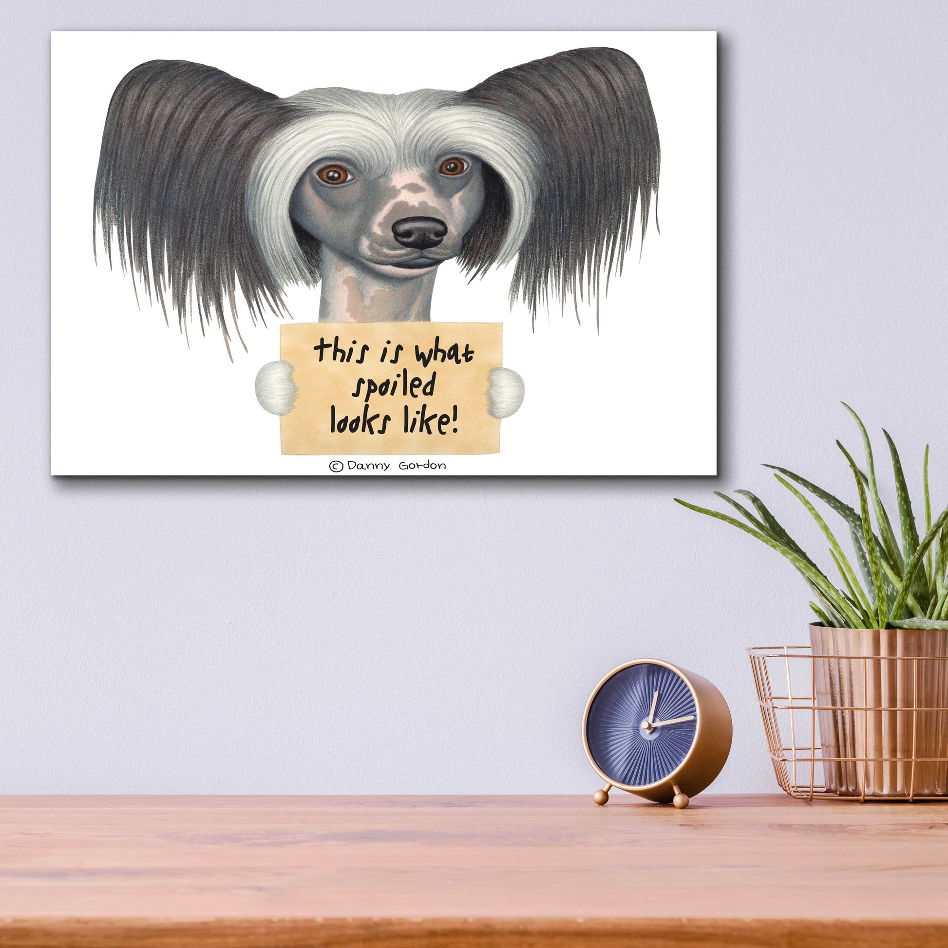 Epic Art 'Tri Color Chinese Crested with Sign' by Danny Gordon Art, Acrylic Glass Wall Art,16x12