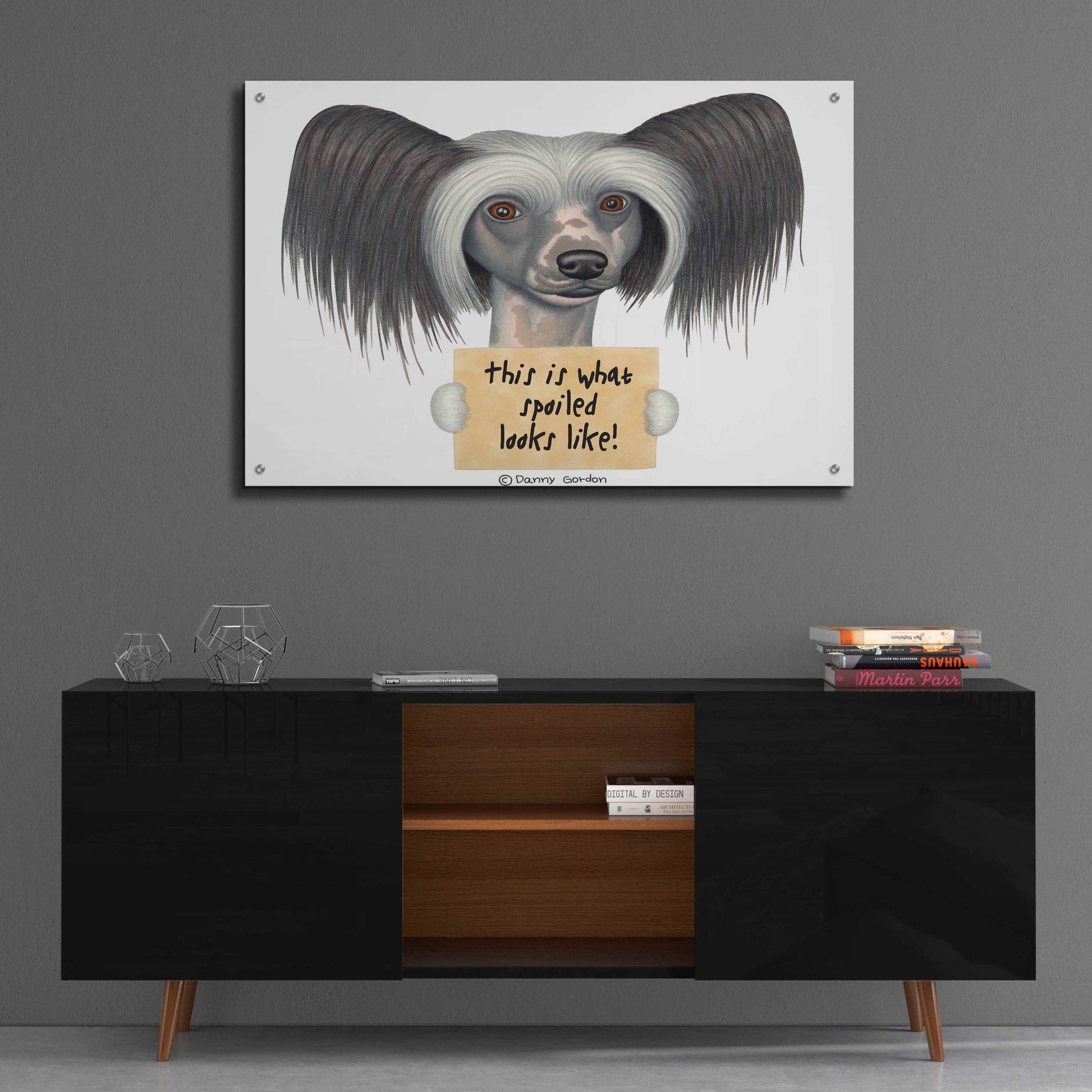 Epic Art 'Tri Color Chinese Crested with Sign' by Danny Gordon Art, Acrylic Glass Wall Art,36x24