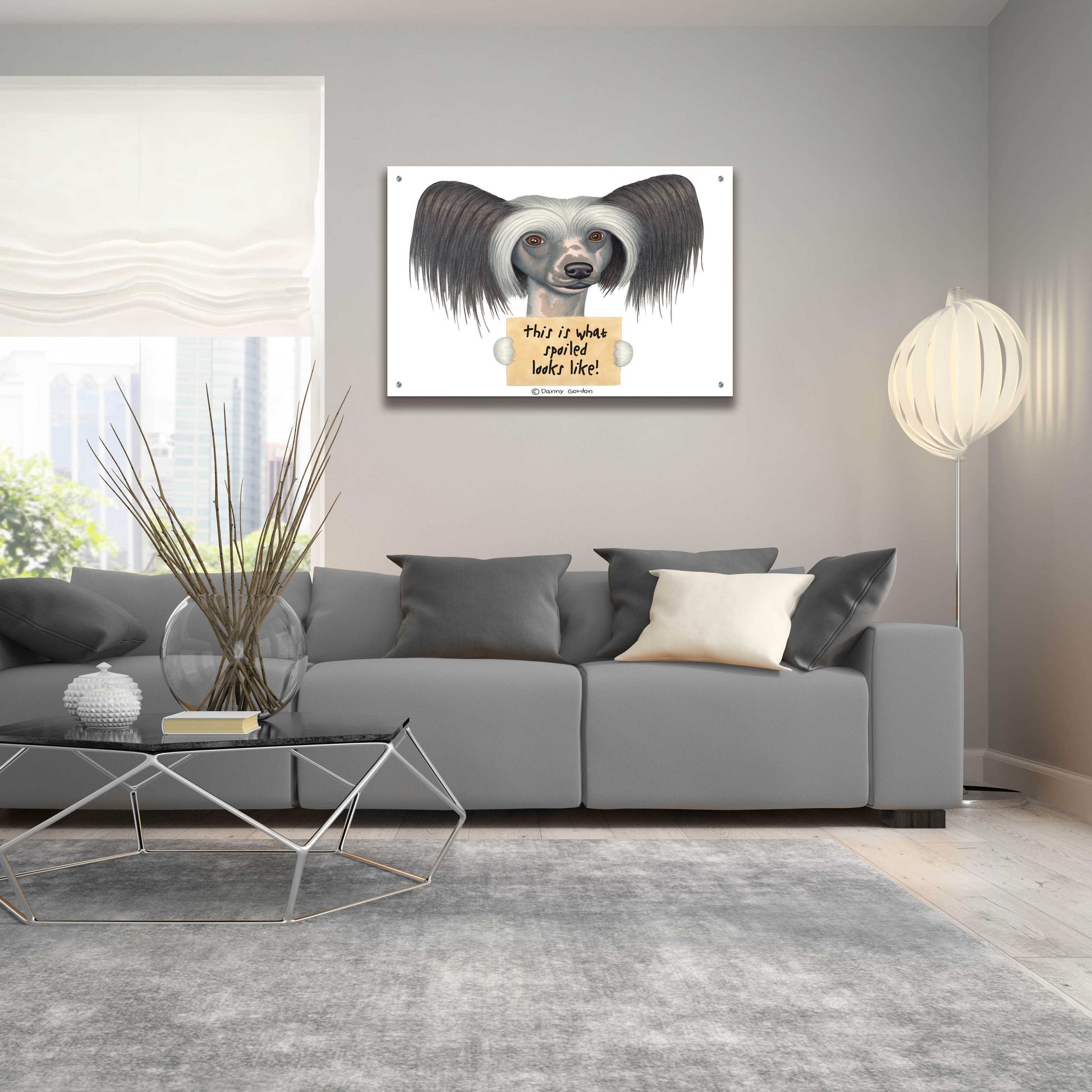 Epic Art 'Tri Color Chinese Crested with Sign' by Danny Gordon Art, Acrylic Glass Wall Art,36x24