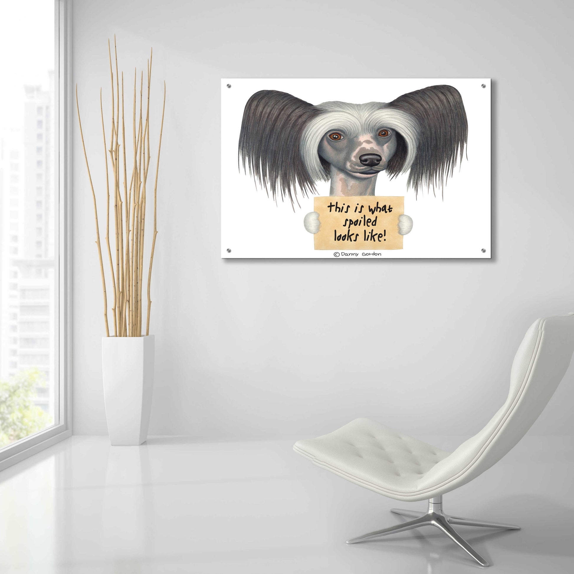 Epic Art 'Tri Color Chinese Crested with Sign' by Danny Gordon Art, Acrylic Glass Wall Art,36x24