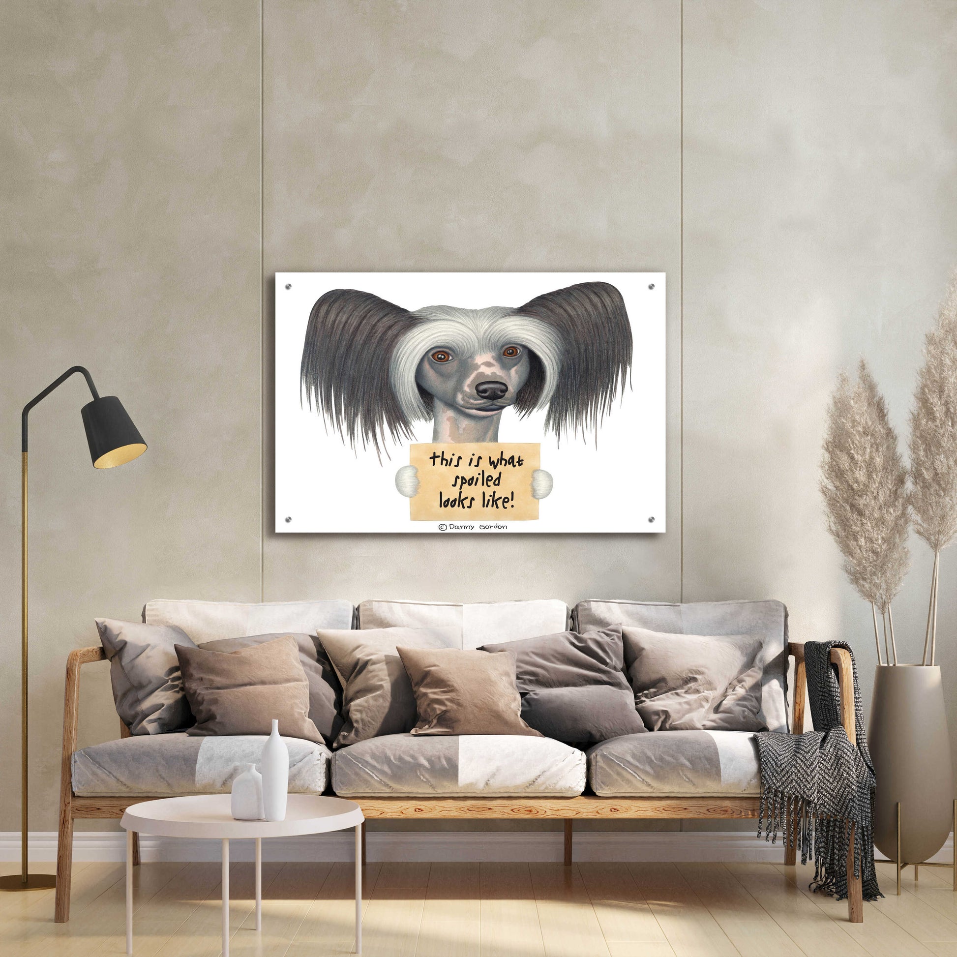 Epic Art 'Tri Color Chinese Crested with Sign' by Danny Gordon Art, Acrylic Glass Wall Art,36x24