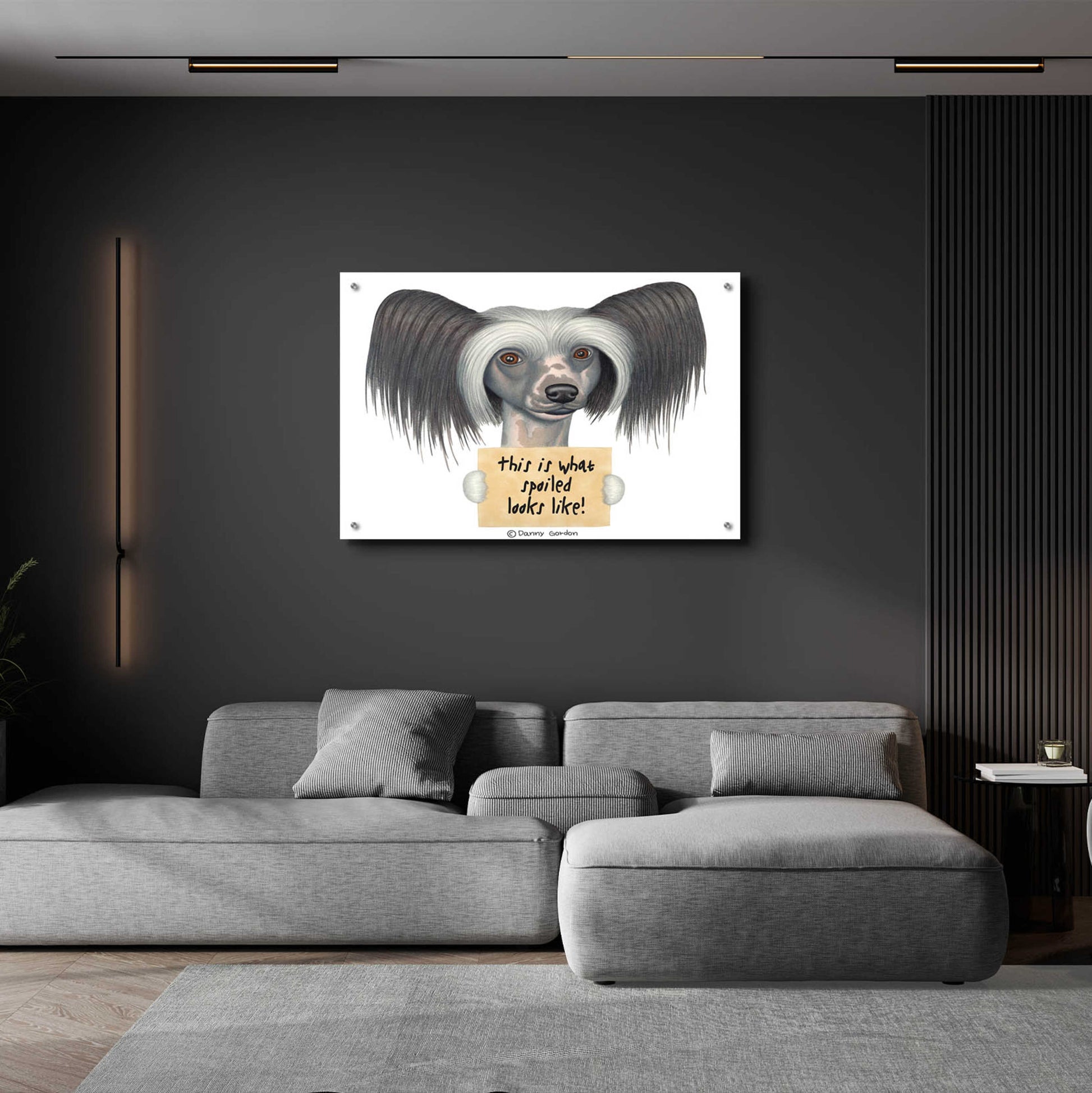 Epic Art 'Tri Color Chinese Crested with Sign' by Danny Gordon Art, Acrylic Glass Wall Art,36x24