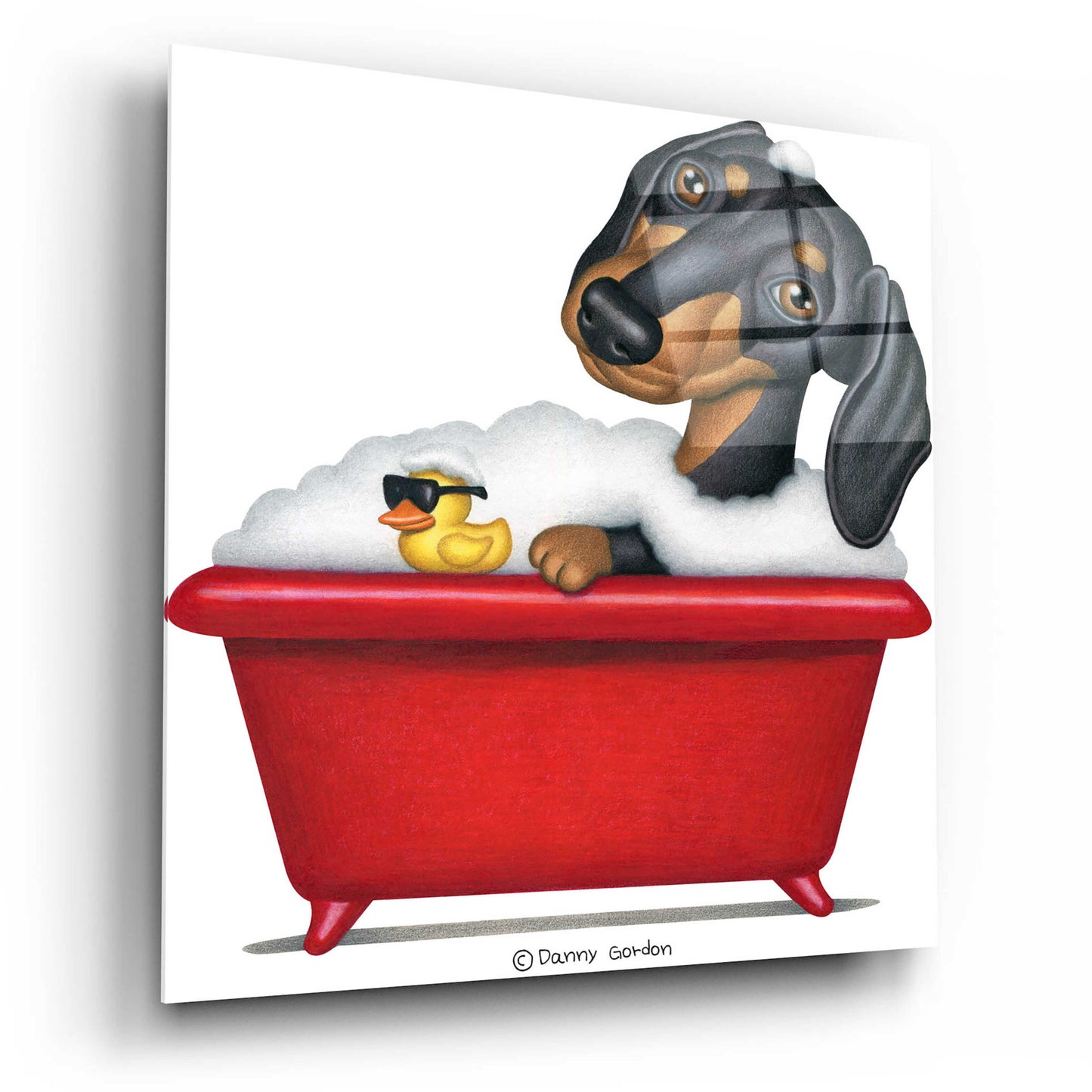 Epic Art 'Black Dachshund in Red Tub' by Danny Gordon Art, Acrylic Glass Wall Art,12x12