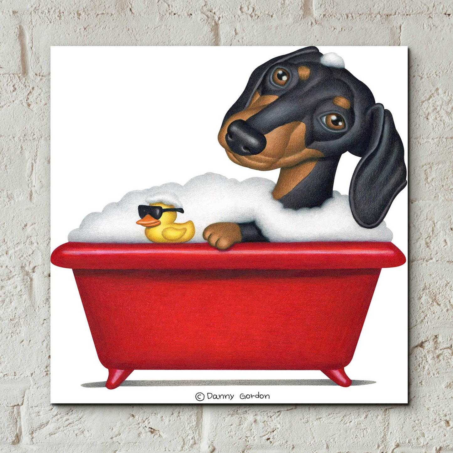 Epic Art 'Black Dachshund in Red Tub' by Danny Gordon Art, Acrylic Glass Wall Art,12x12