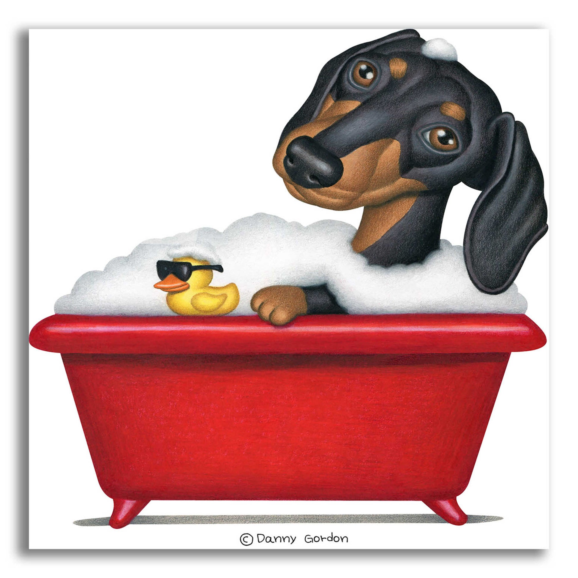 Epic Art 'Black Dachshund in Red Tub' by Danny Gordon Art, Acrylic Glass Wall Art