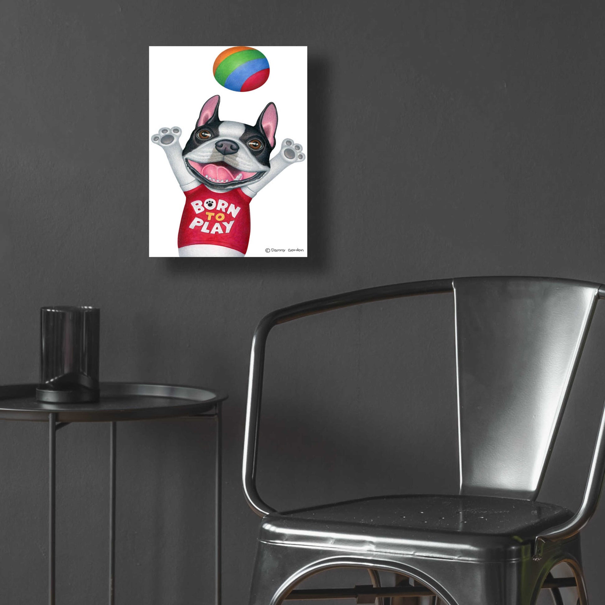 Epic Art 'Boston Terrier Playing Ball' by Danny Gordon Art, Acrylic Glass Wall Art,12x16