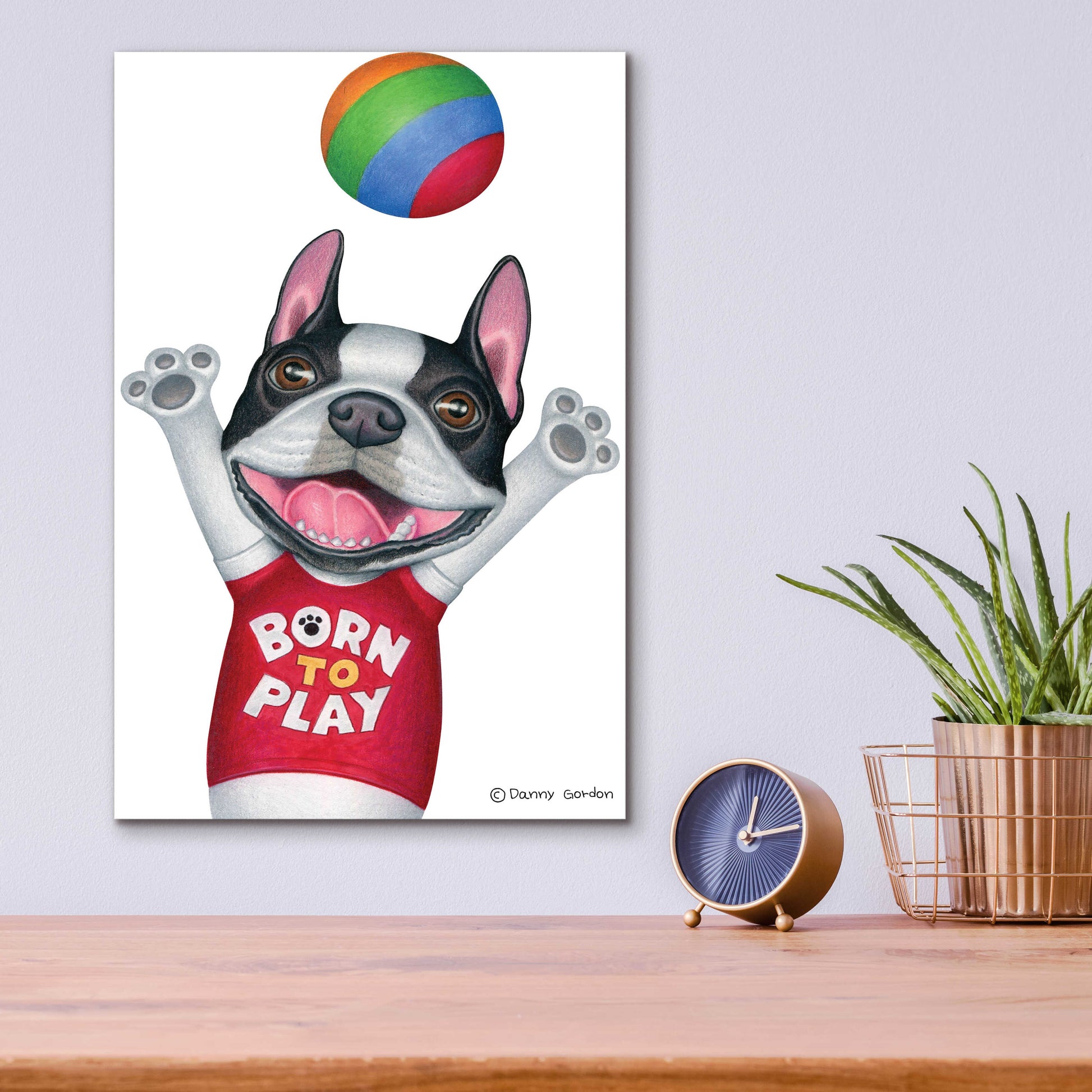 Epic Art 'Boston Terrier Playing Ball' by Danny Gordon Art, Acrylic Glass Wall Art,12x16