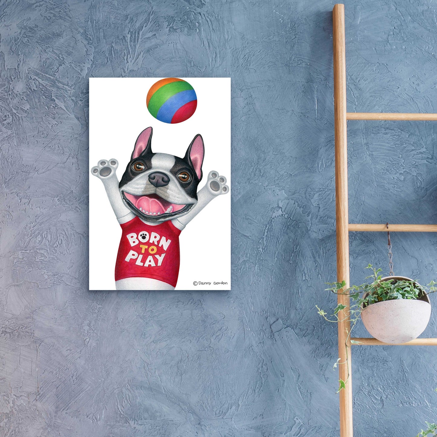 Epic Art 'Boston Terrier Playing Ball' by Danny Gordon Art, Acrylic Glass Wall Art,16x24