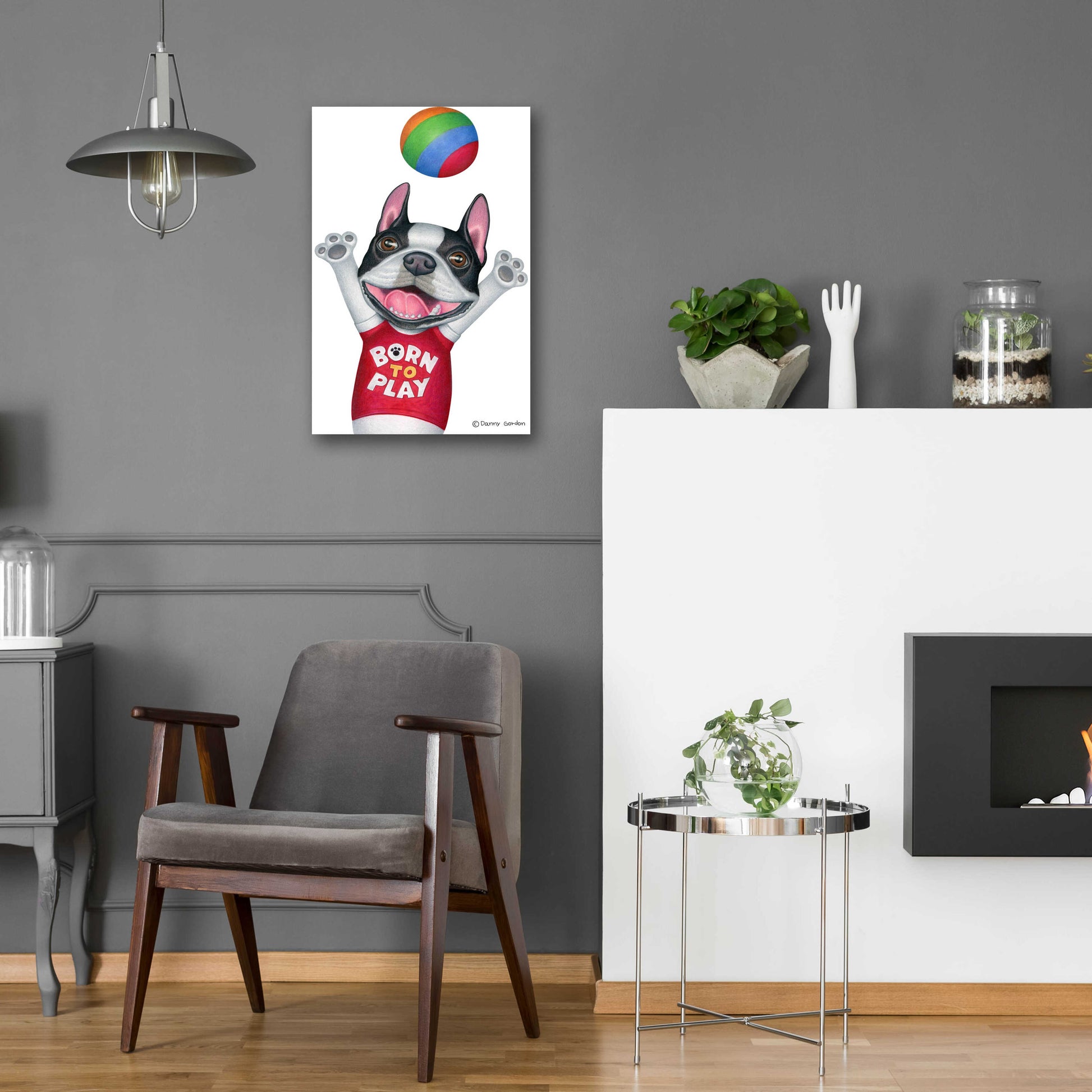 Epic Art 'Boston Terrier Playing Ball' by Danny Gordon Art, Acrylic Glass Wall Art,16x24