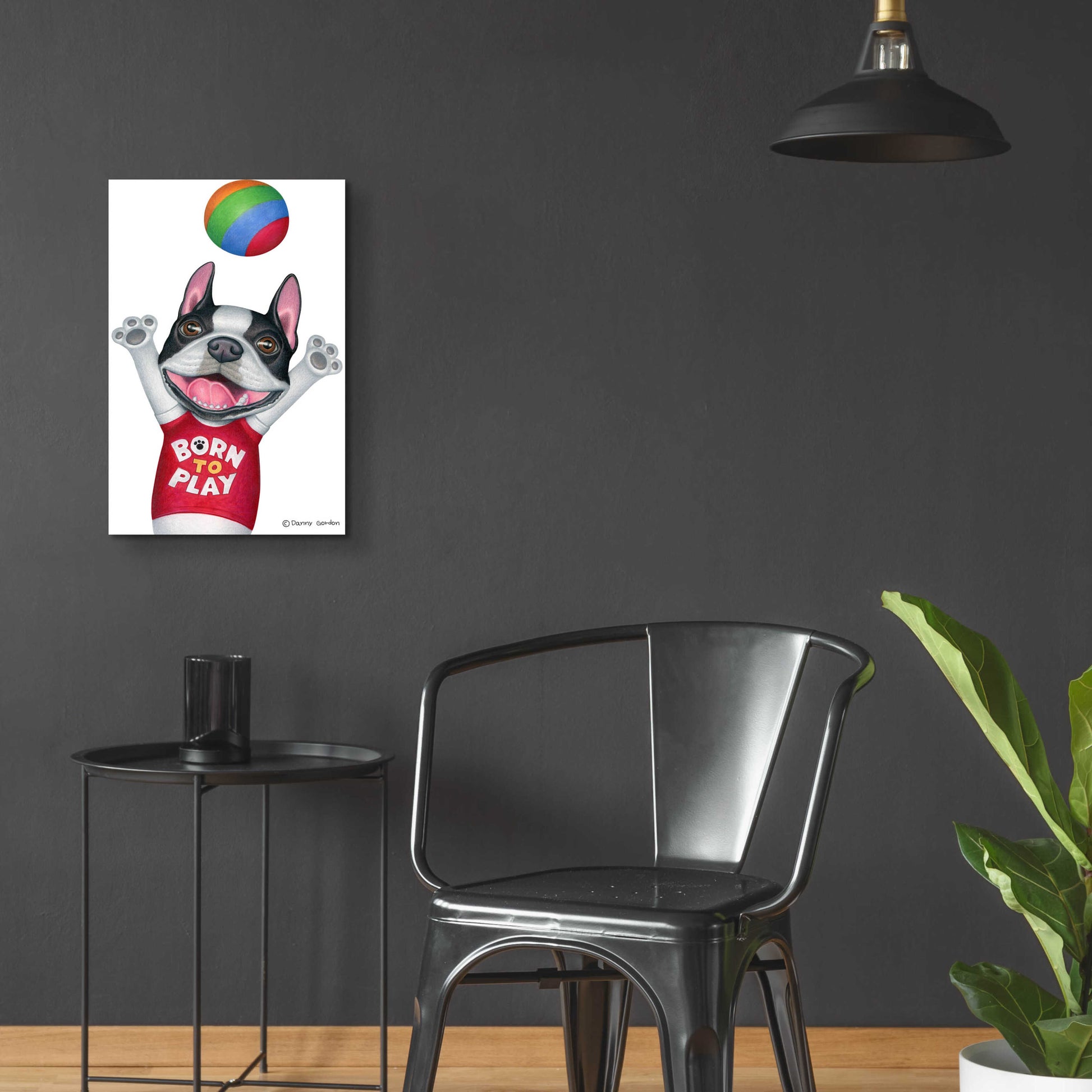 Epic Art 'Boston Terrier Playing Ball' by Danny Gordon Art, Acrylic Glass Wall Art,16x24