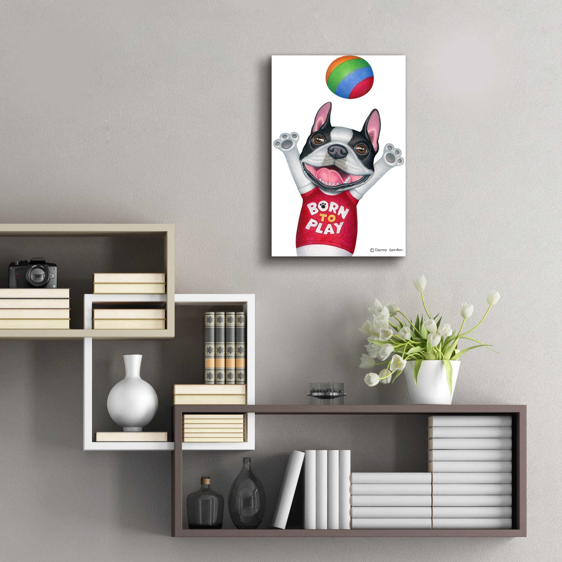 Epic Art 'Boston Terrier Playing Ball' by Danny Gordon Art, Acrylic Glass Wall Art,16x24