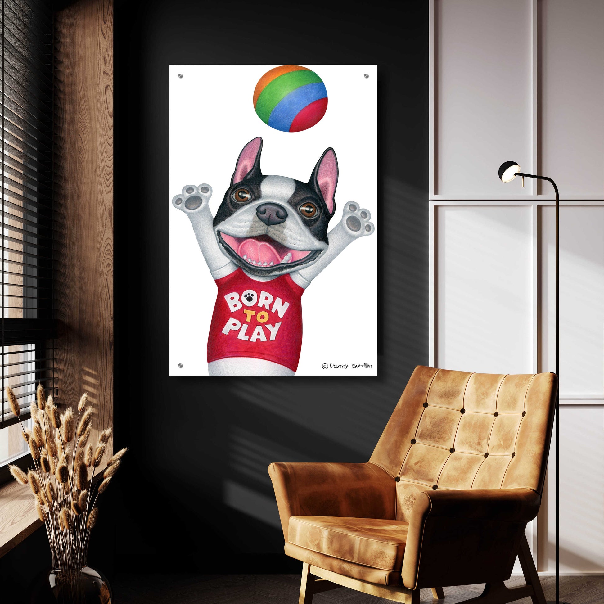 Epic Art 'Boston Terrier Playing Ball' by Danny Gordon Art, Acrylic Glass Wall Art,24x36