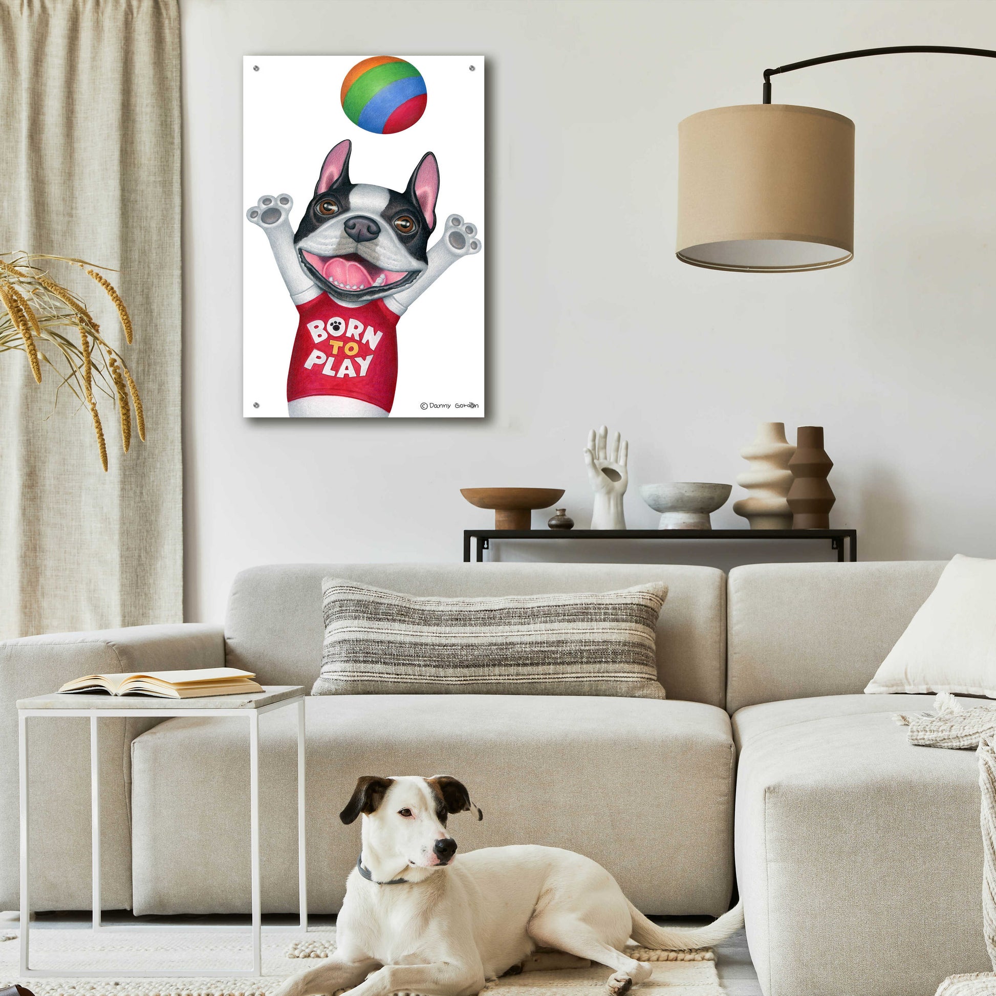 Epic Art 'Boston Terrier Playing Ball' by Danny Gordon Art, Acrylic Glass Wall Art,24x36