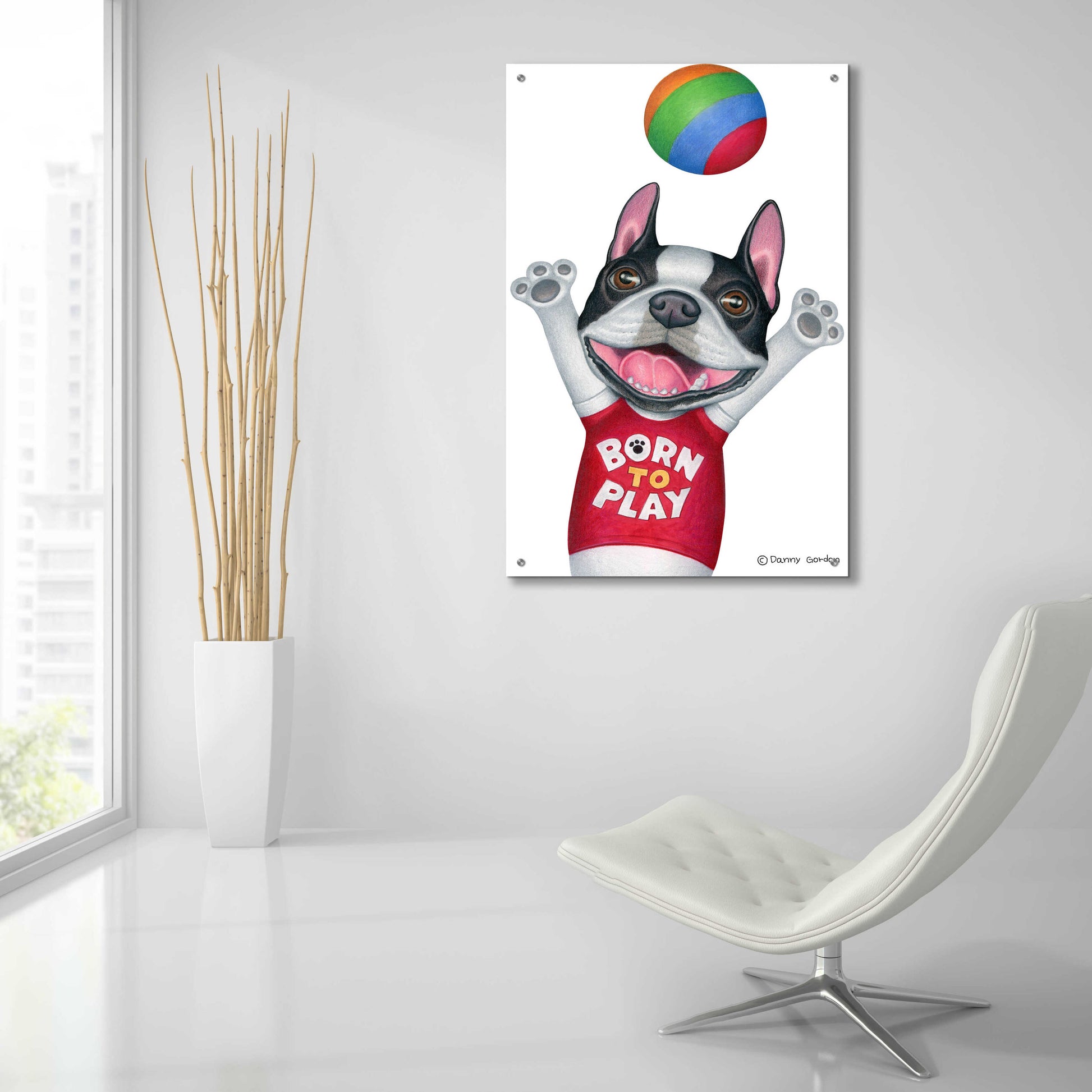 Epic Art 'Boston Terrier Playing Ball' by Danny Gordon Art, Acrylic Glass Wall Art,24x36