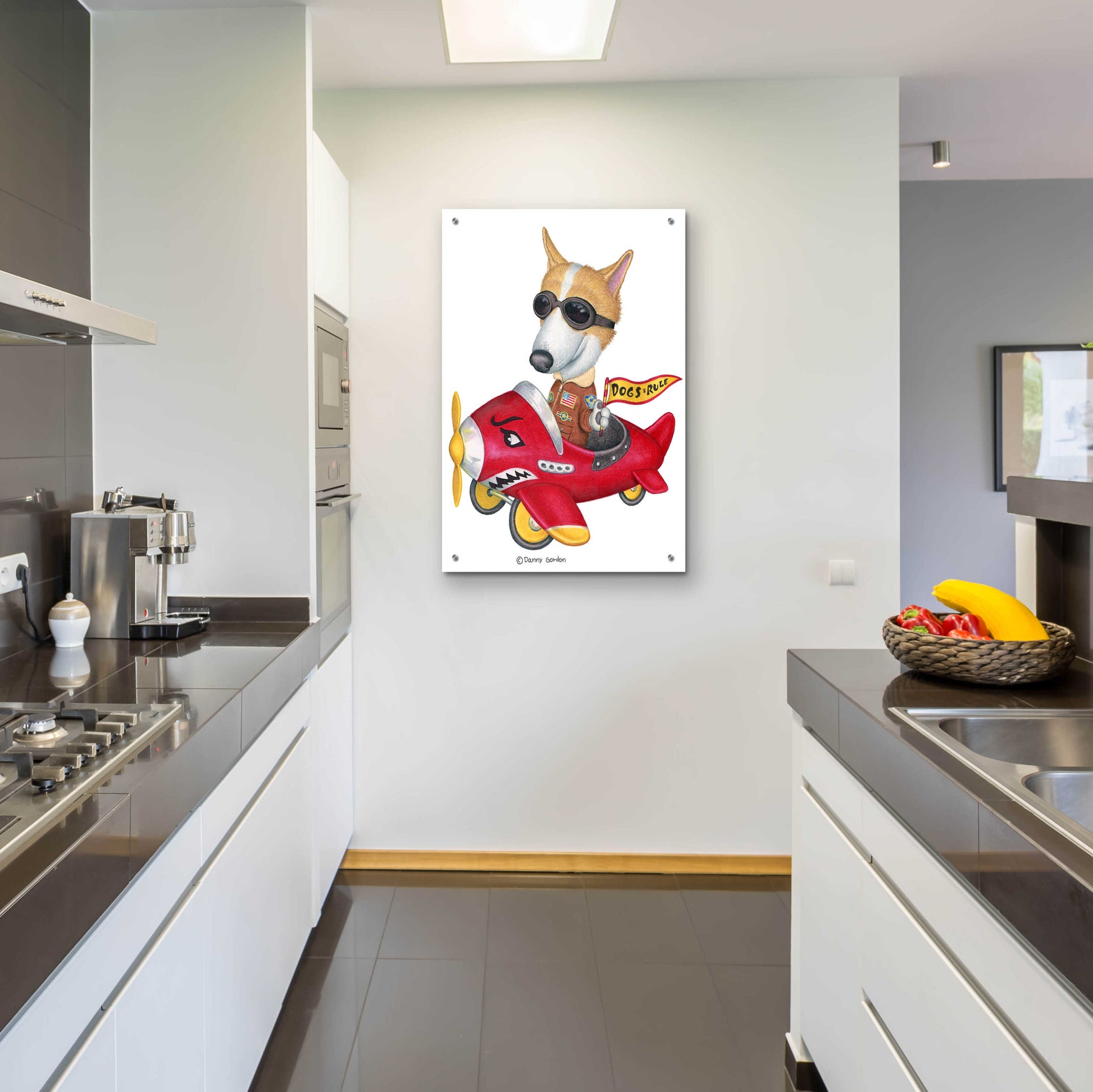 Epic Art 'Corgi in Red Plane' by Danny Gordon Art, Acrylic Glass Wall Art,24x36