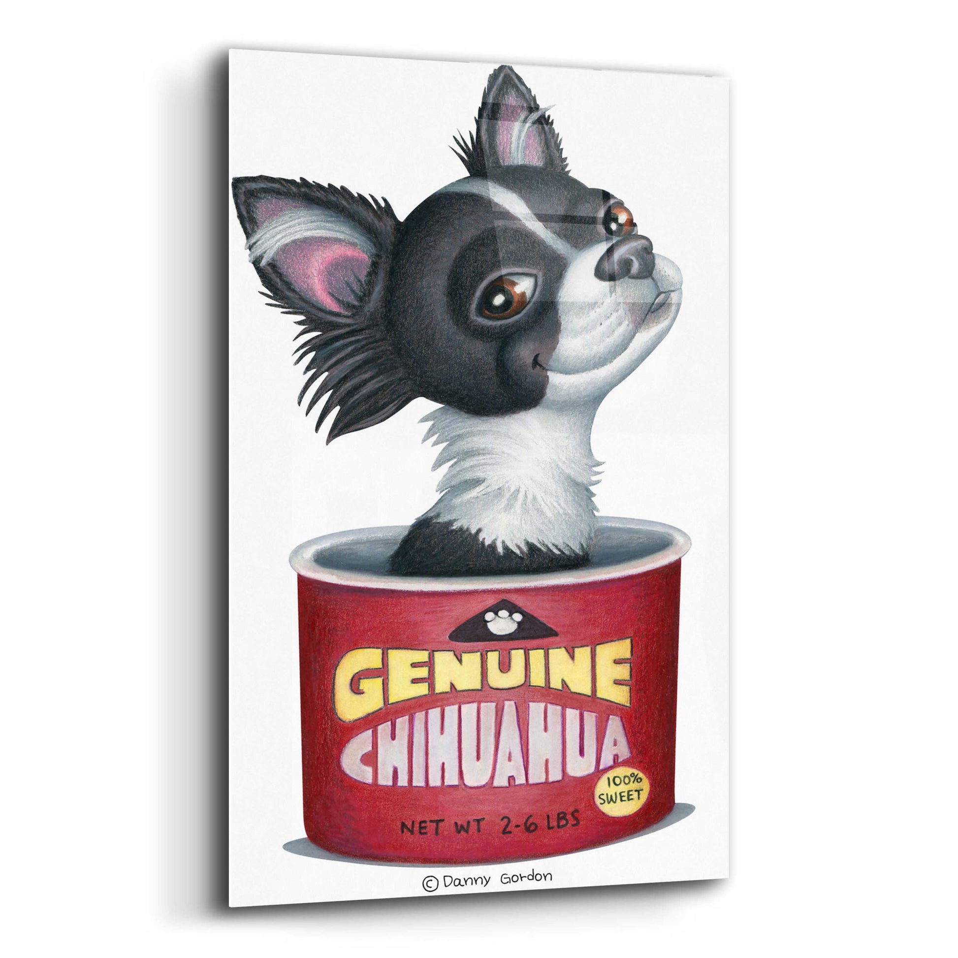 Epic Art 'Blk Wht Chihuahua in Container' by Danny Gordon Art, Acrylic Glass Wall Art,12x16