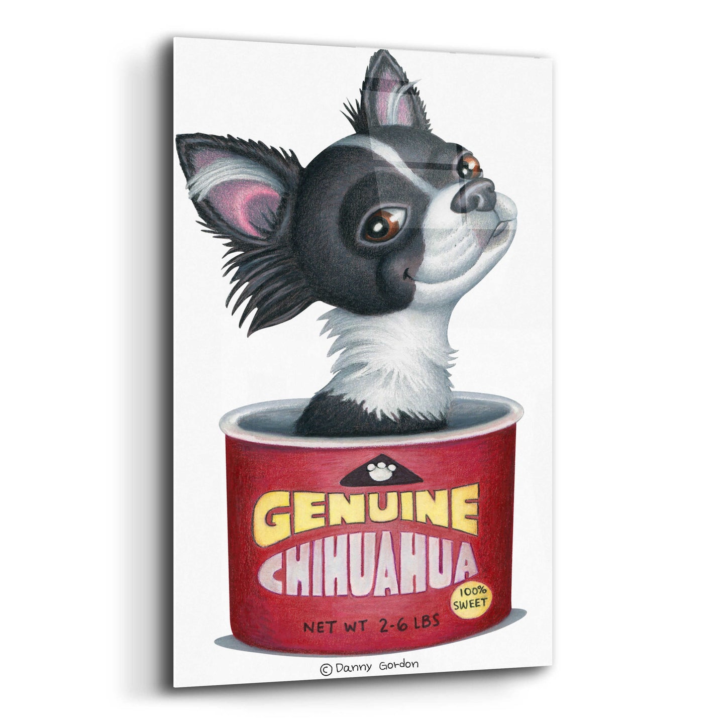 Epic Art 'Blk Wht Chihuahua in Container' by Danny Gordon Art, Acrylic Glass Wall Art,16x24