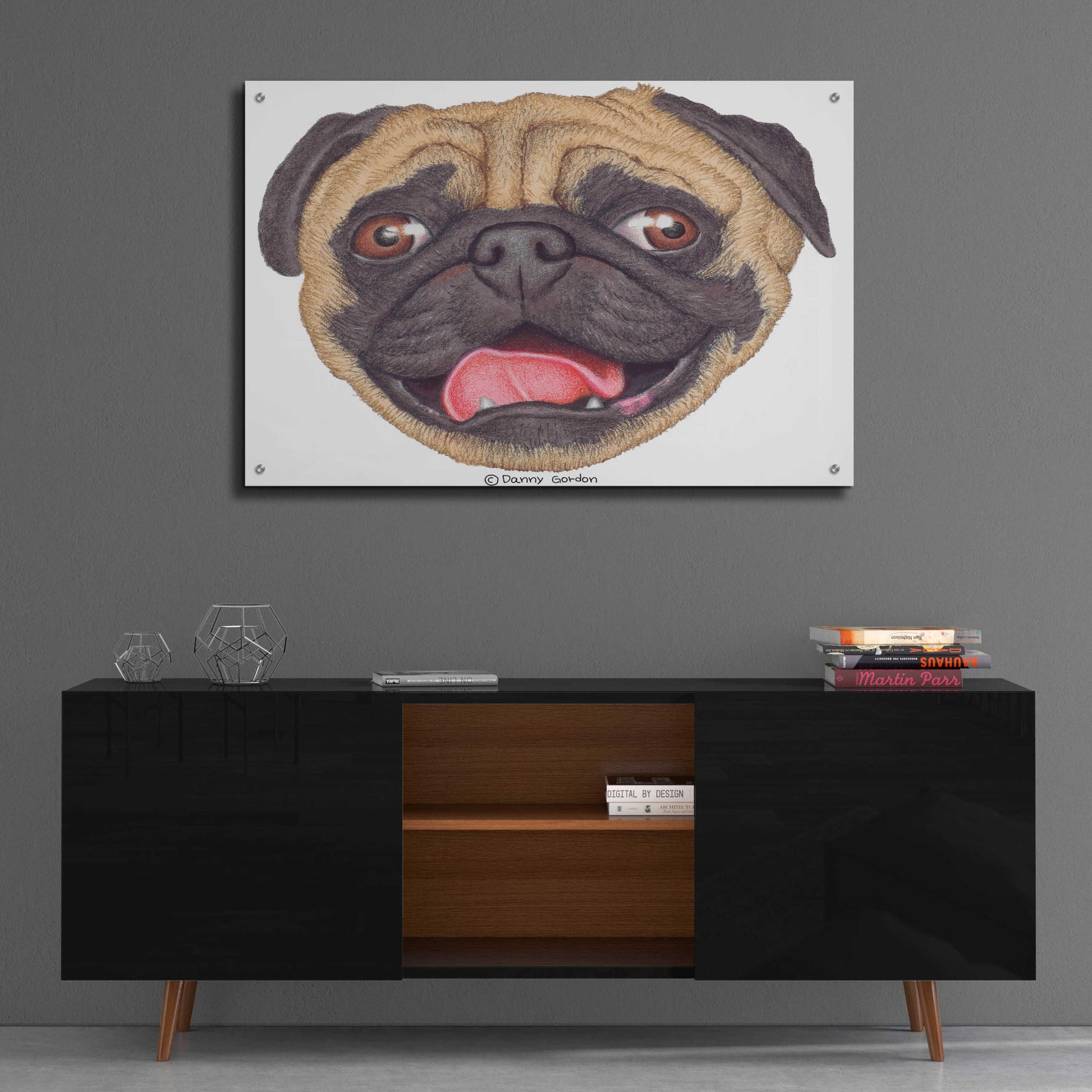 Epic Art 'Binky' by Danny Gordon Art, Acrylic Glass Wall Art,36x24