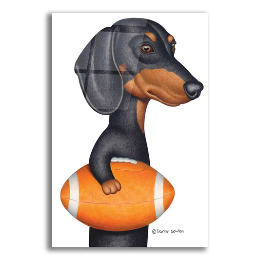 Epic Art 'Cowboy DOXIE' by Danny Gordon Art, Acrylic Glass Wall Art