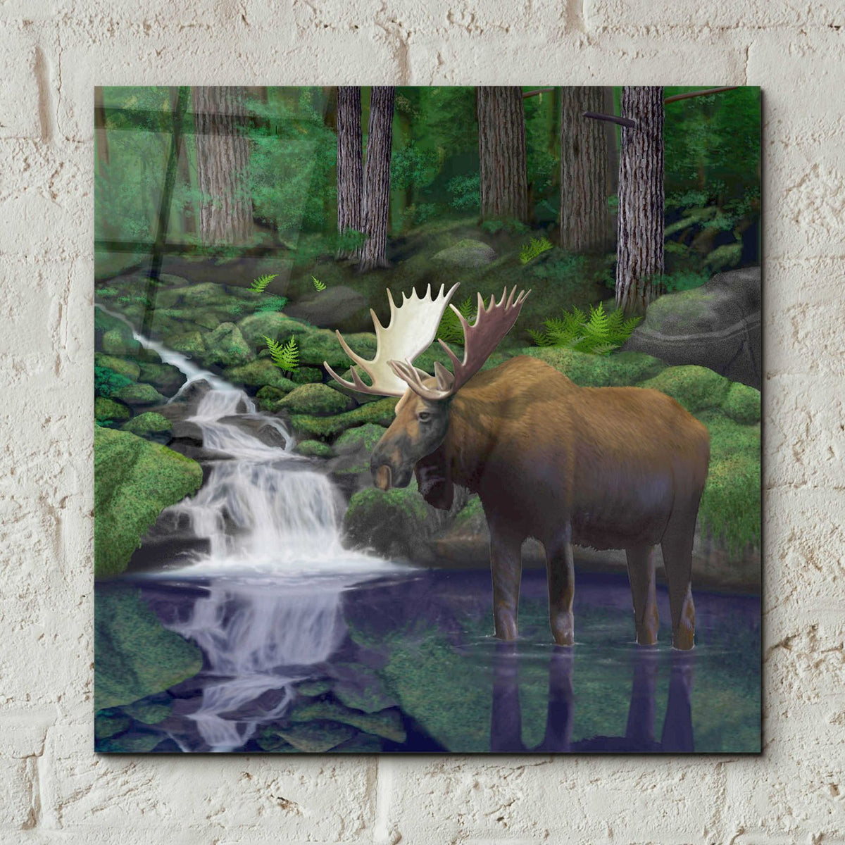 Woodland Moose by Chris Dobrowolski - 12x12 acrylic wall art in a room