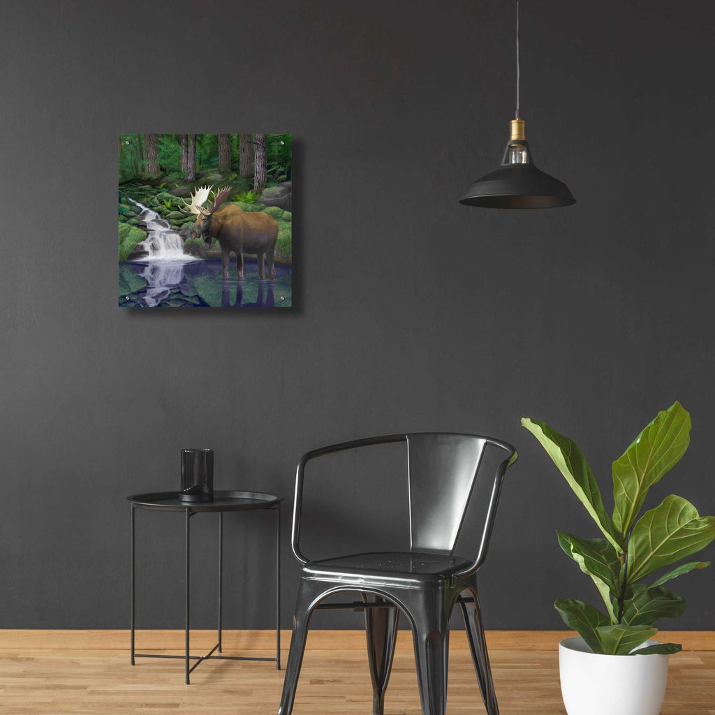 Woodland Moose by Chris Dobrowolski - 24x24 acrylic wall art in a room