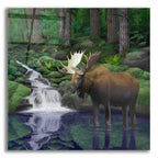 Woodland Moose by Chris Dobrowolski acrylic glass wall art