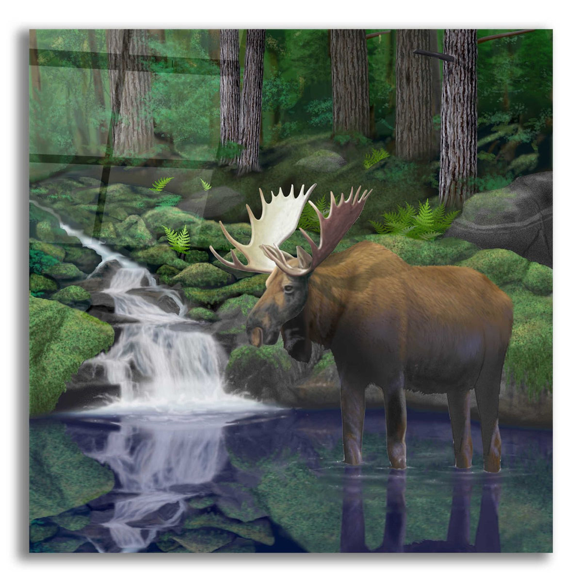 Woodland Moose by Chris Dobrowolski acrylic glass wall art