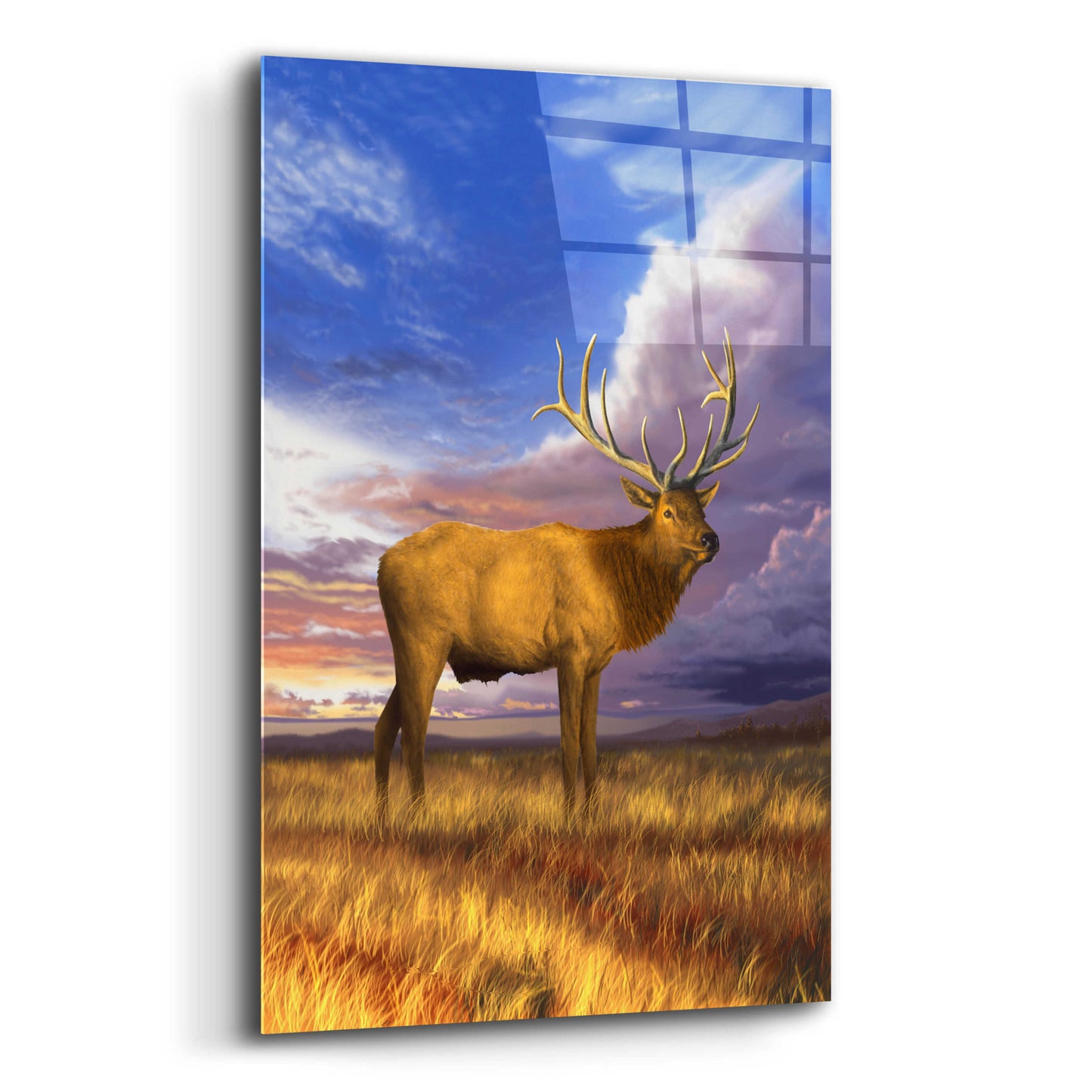 Epic Art 'Elk at Sunset' by Chris Dobrowolski, Acrylic Glass Wall Art,12x16