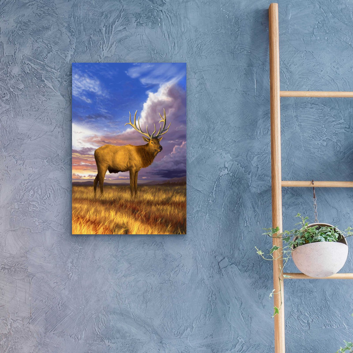 Elk at Sunset by Chris Dobrowolski - 16x24 acrylic wall art in a room