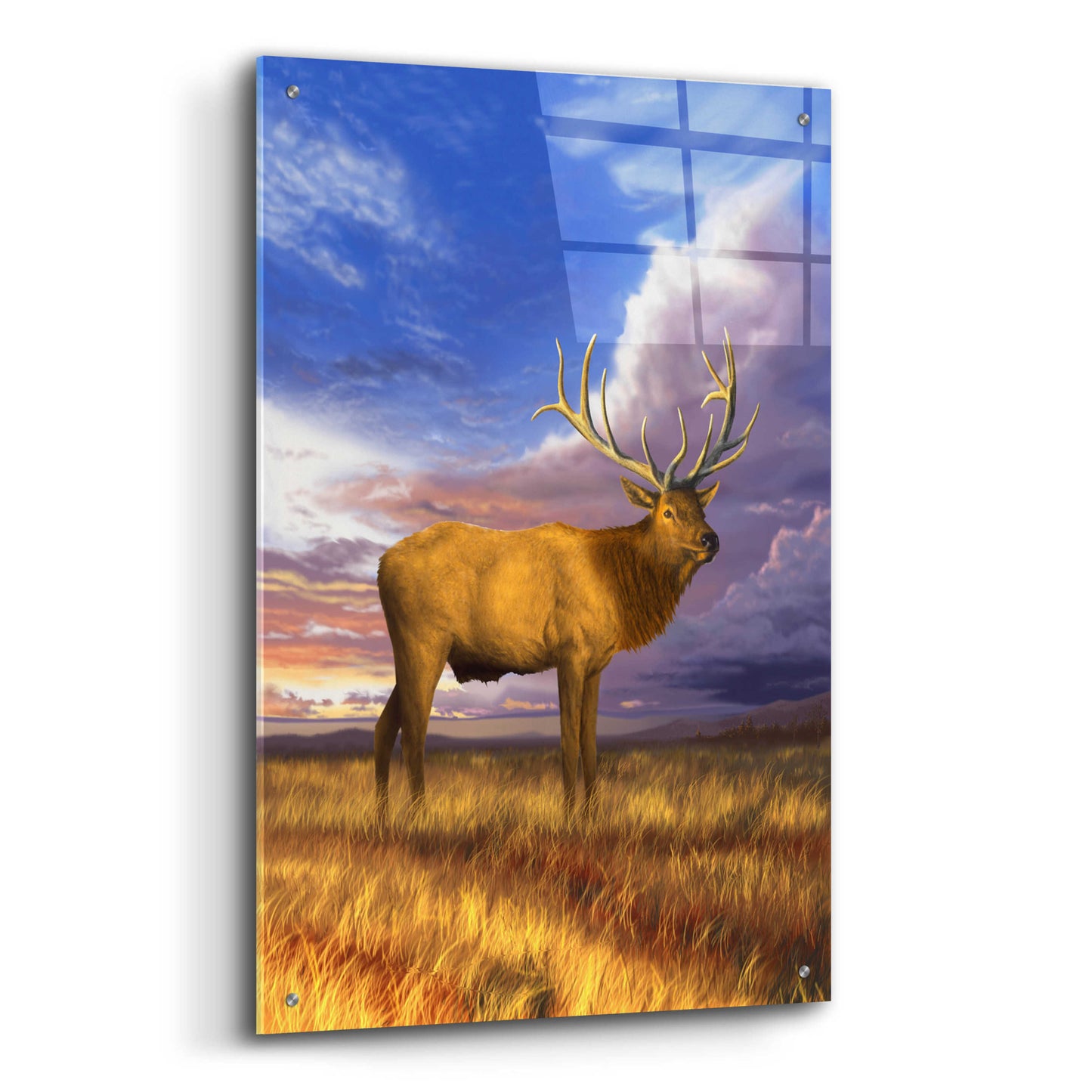 Epic Art 'Elk at Sunset' by Chris Dobrowolski, Acrylic Glass Wall Art,24x36