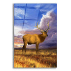 Elk at Sunset by Chris Dobrowolski acrylic glass wall art